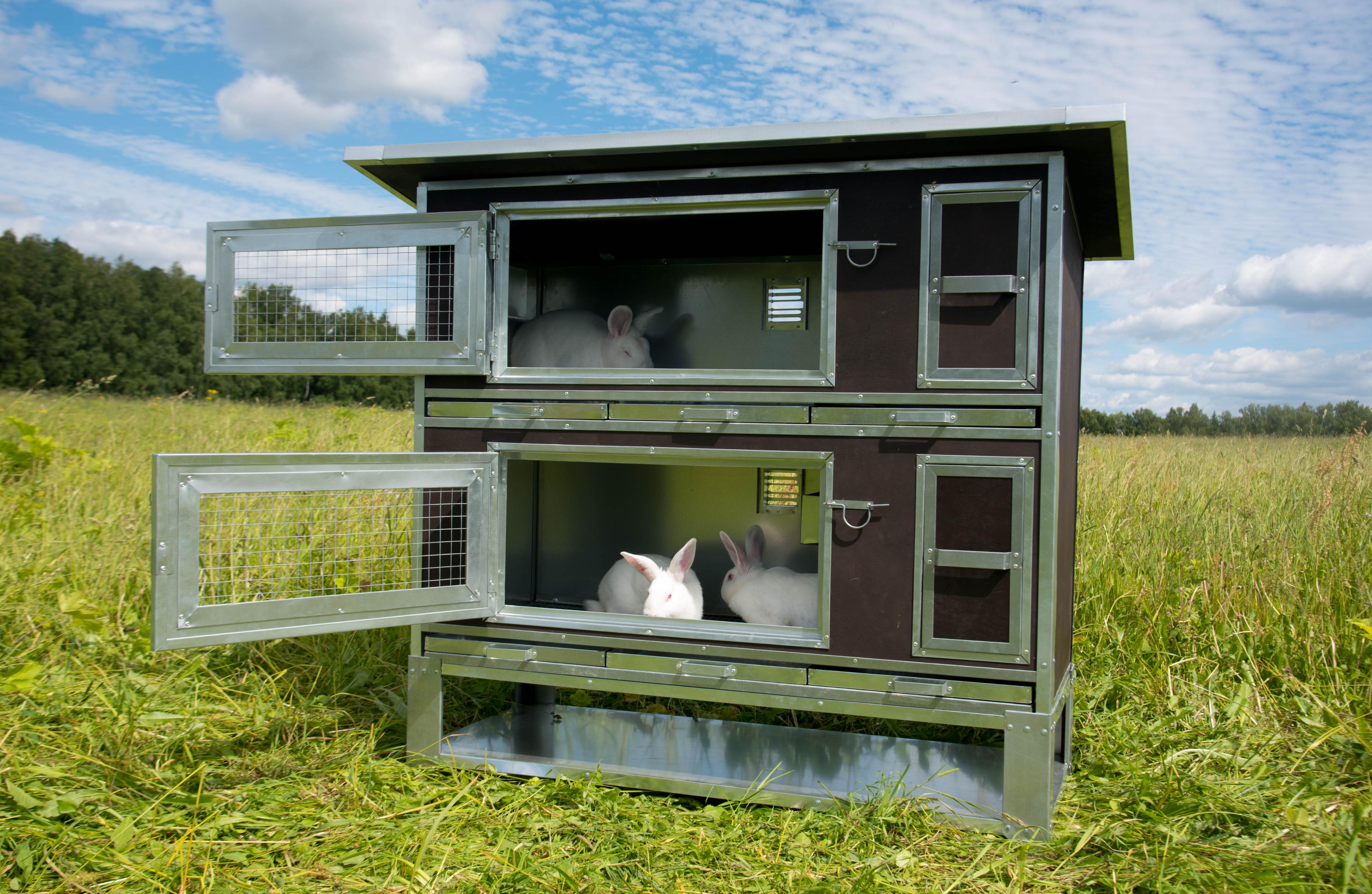 Утепленный отапливаемый крольчатник "Бестселлер" О-12. Фото 12 Утепленный отапливаемый крольчатник "Бестселлер" О-12. Фото 12