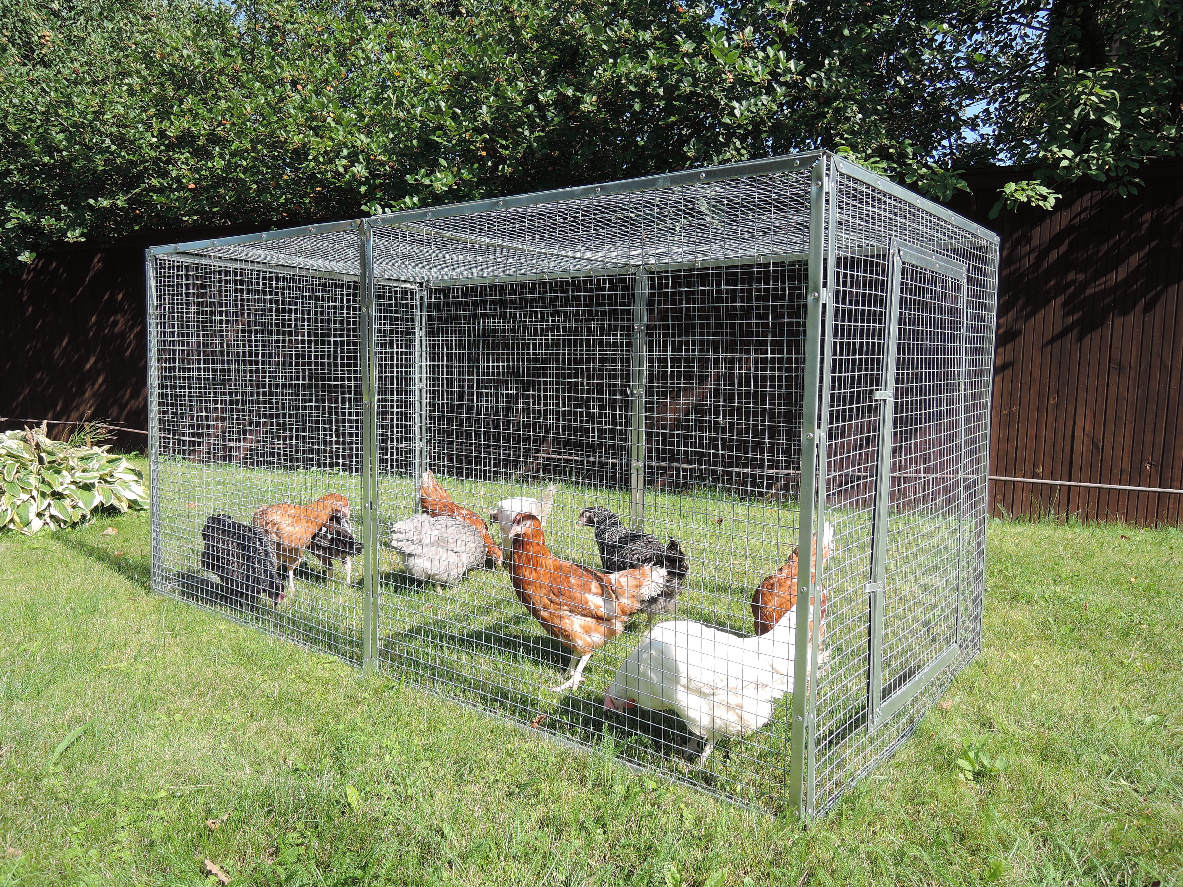 Выгул "Лужайка"-3. Фото 4