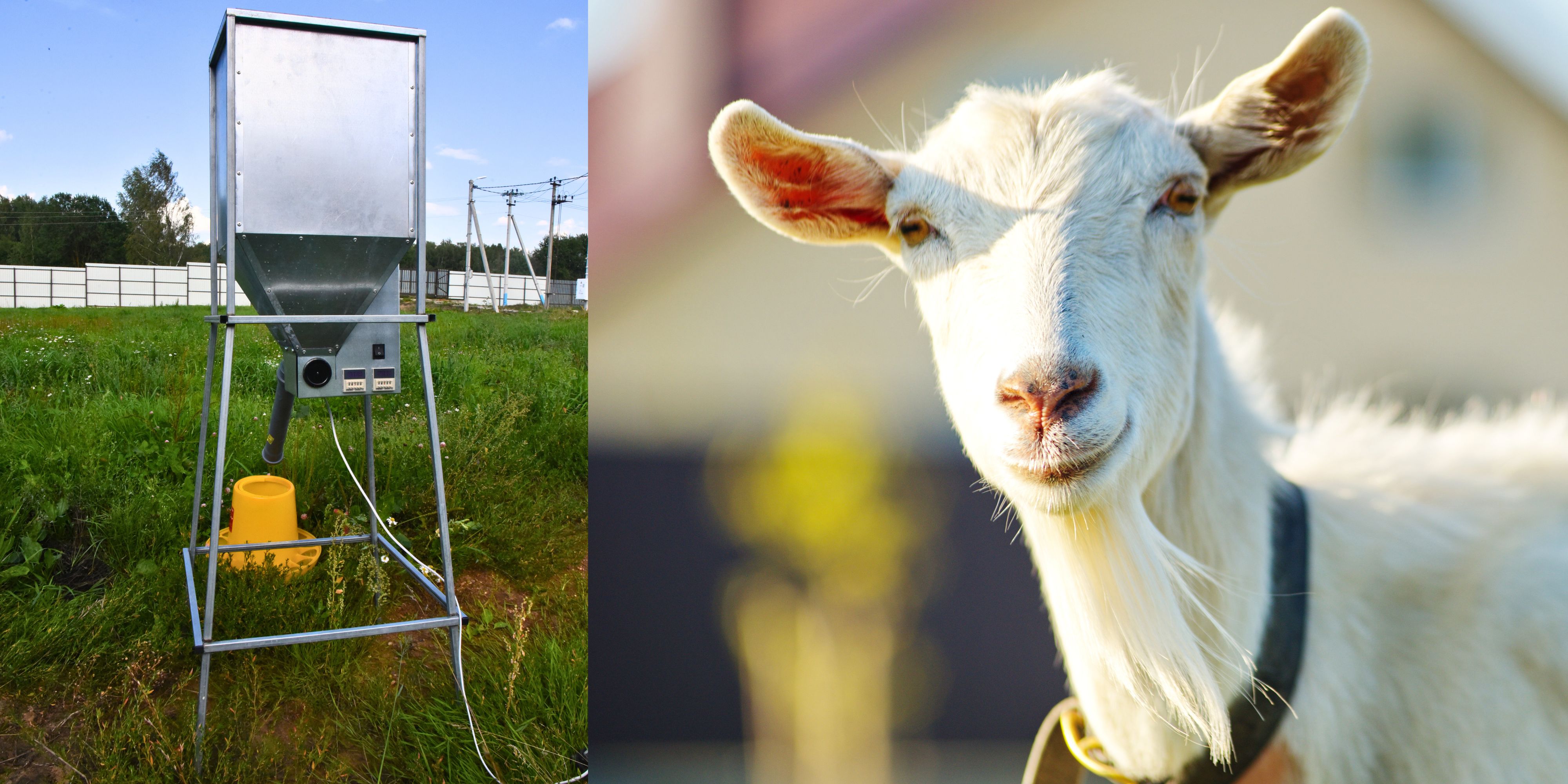 Бункер кормовой автоматический "Дозатор 45". Фото 20 Бункер кормовой автоматический "Дозатор 45". Фото 20