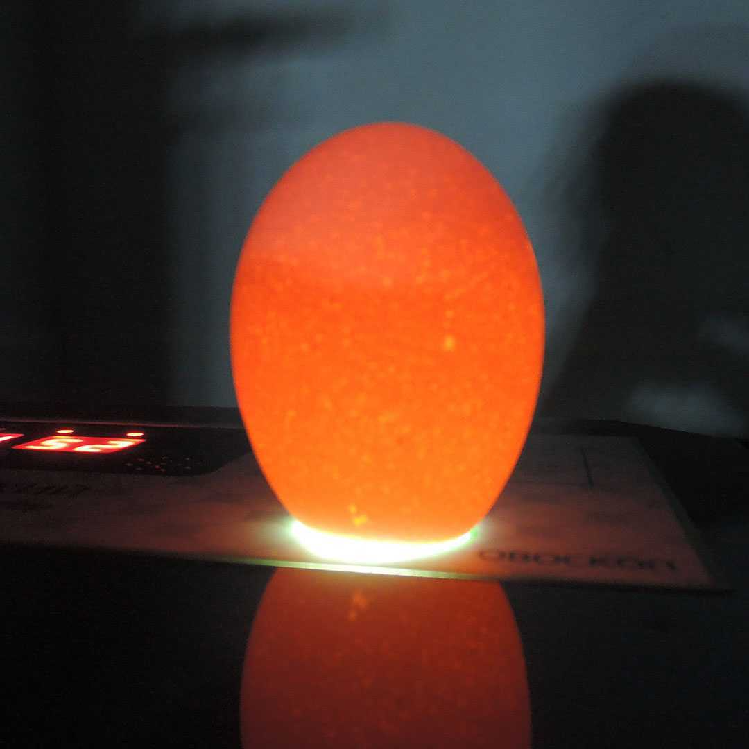 Инкубатор Smart Household-64. Фото 9