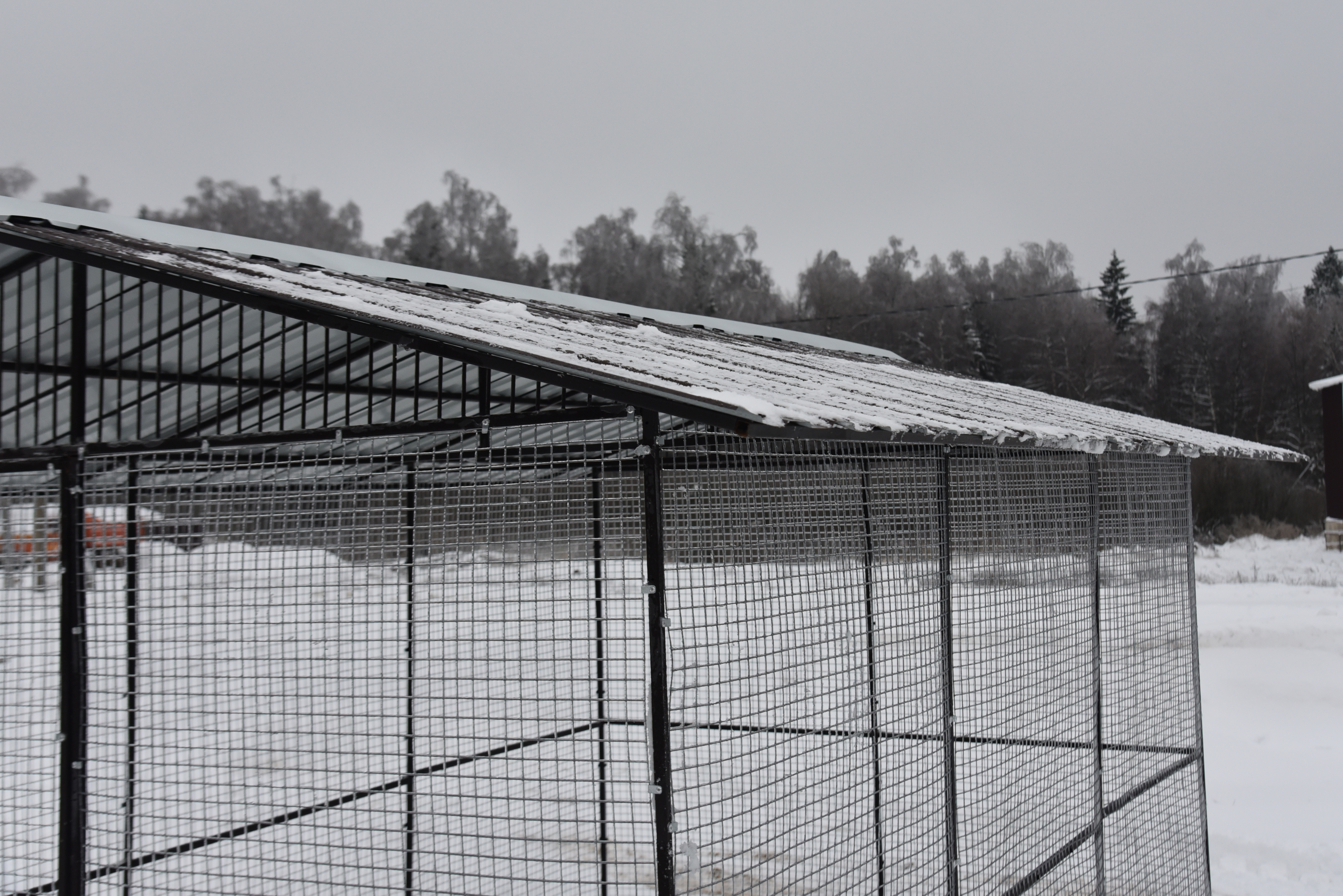 Выгул "Разгуляй" с крышей 2-4-К. Фото 13