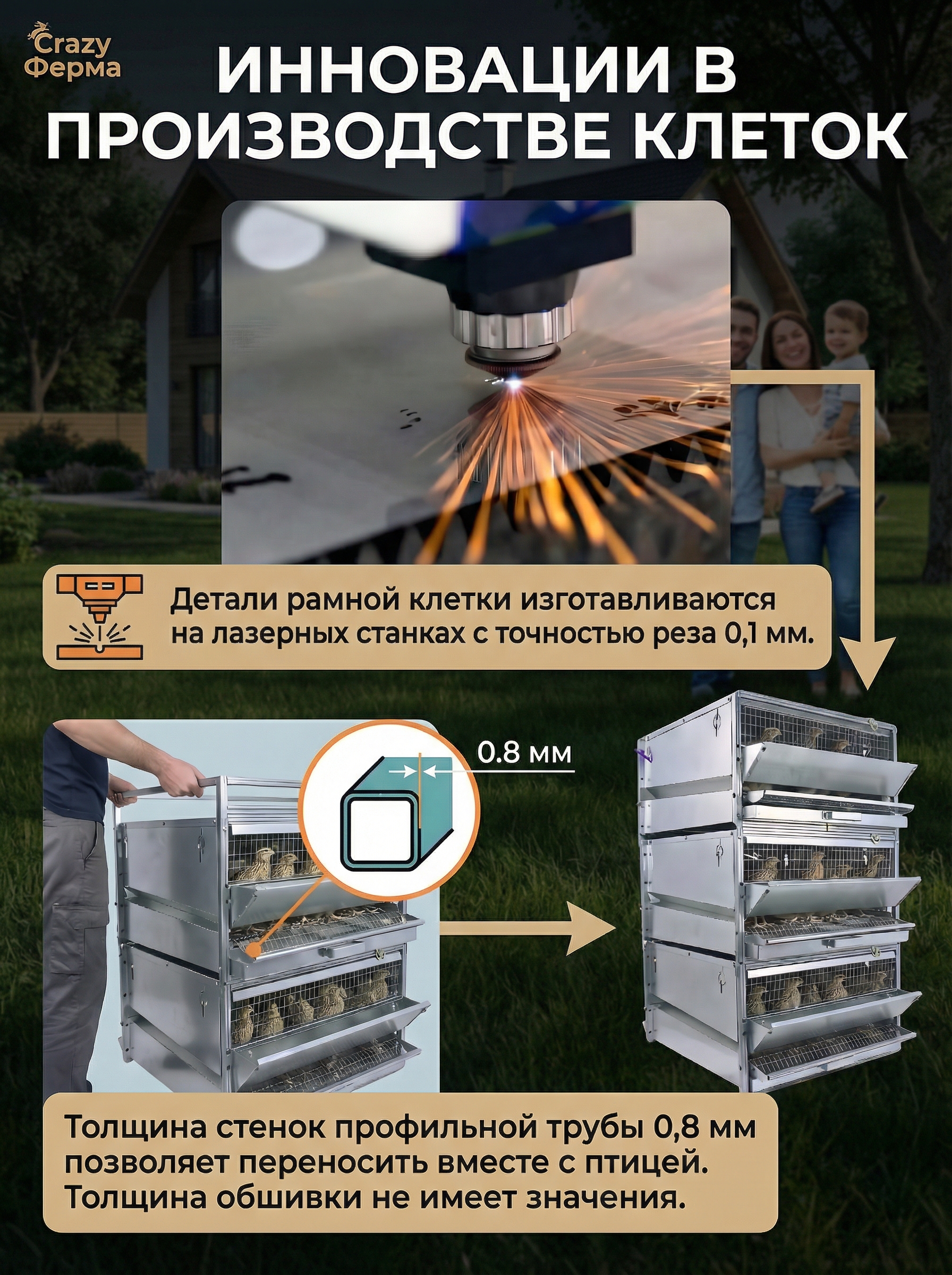 Рамная клетка для перепелов на 120 голов . Фото 9 Рамная клетка для перепелов на 120 голов . Фото 9