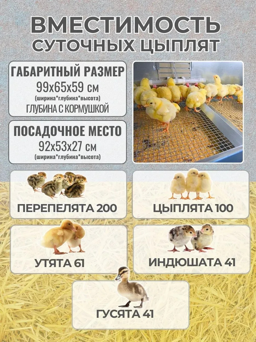 Брудер для цыплят автоматический "Рост А100". Фото 1
