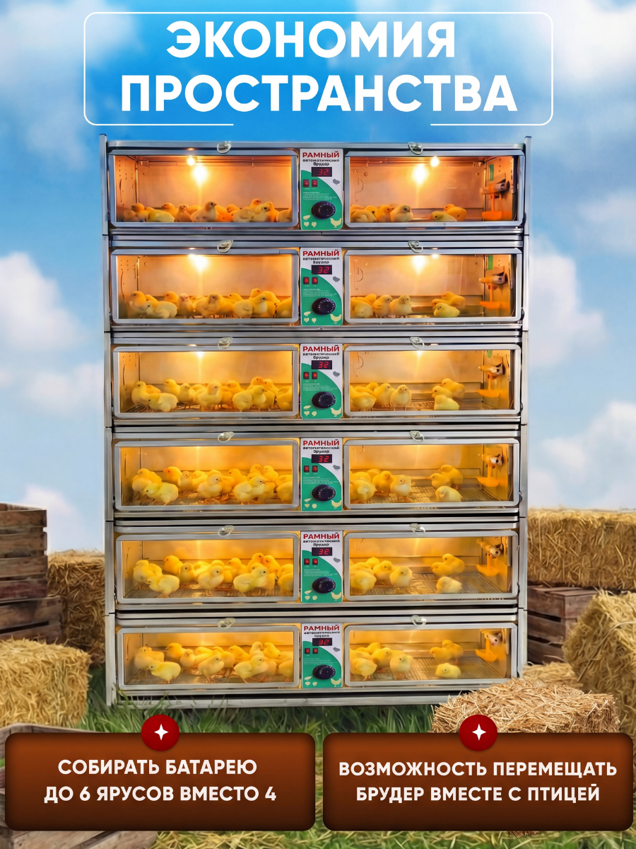 Рамный автоматический брудер 0712 Стандарт. Фото 10