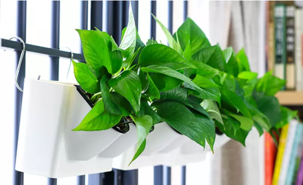 Навесной двойной горшок. Фото 1