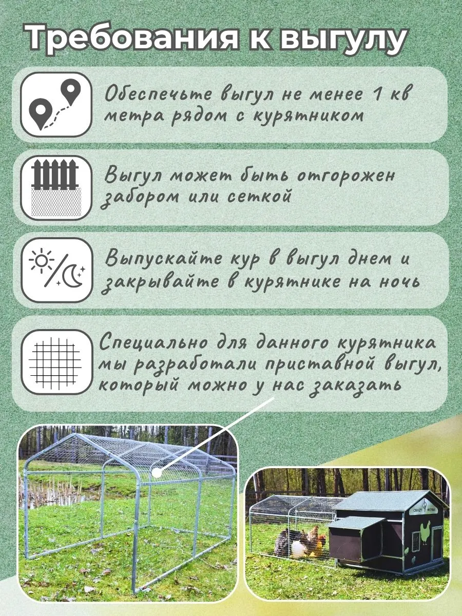 Курятник "Фаворит" на 8-10 кур. Фото 4