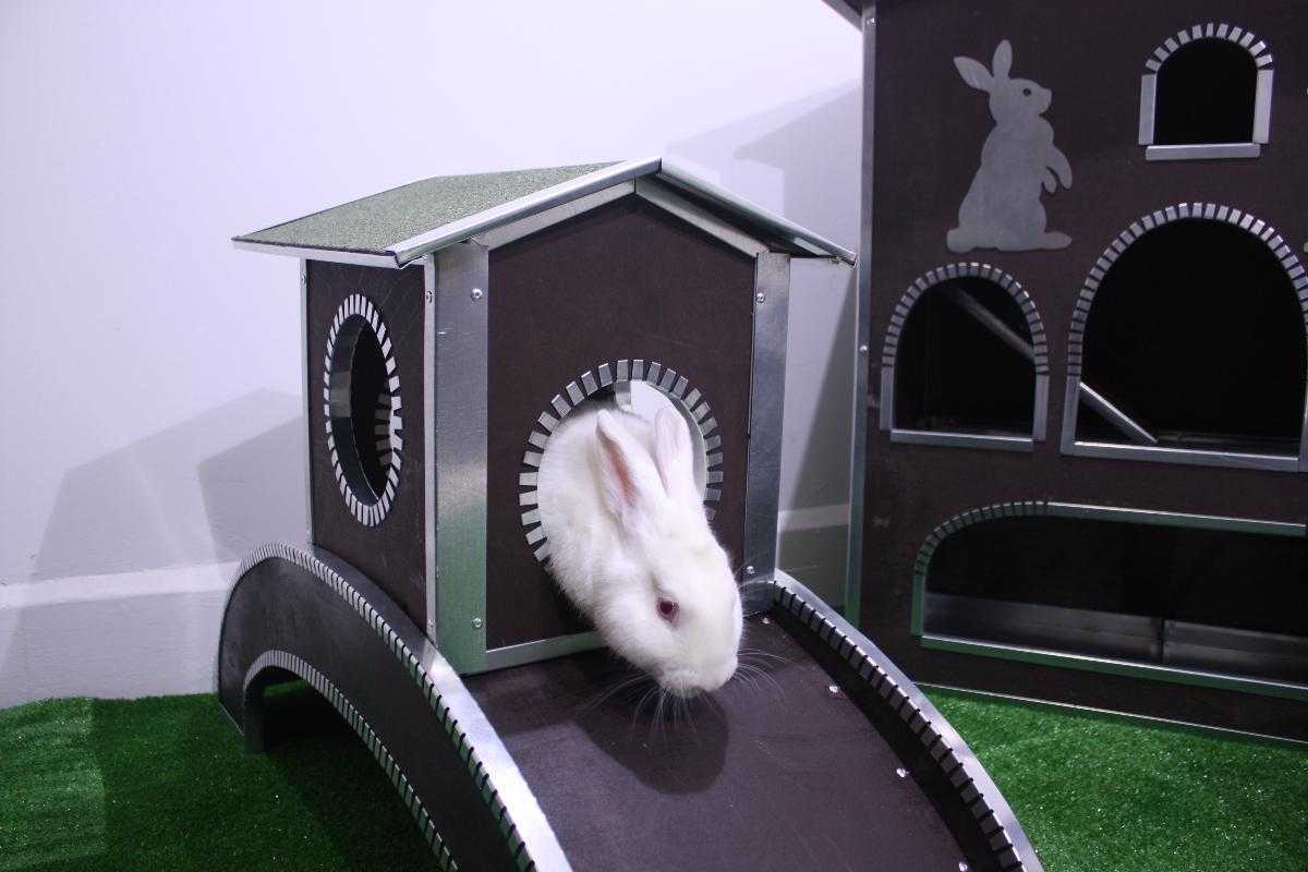 Лазелка для декоративных кроликов "Мостик". Фото 6