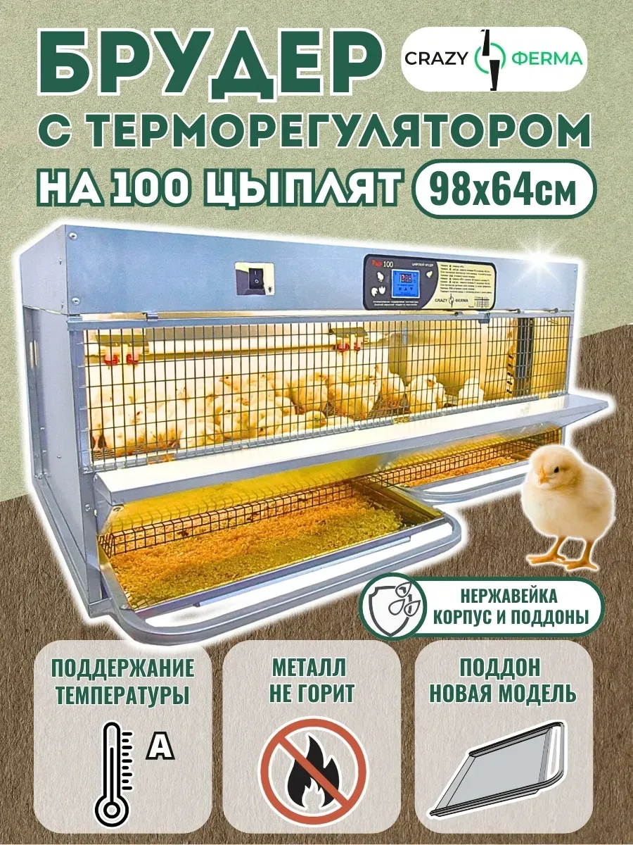Брудер для цыплят "Проф 100 Н" с электронным терморегулятором корпус нержавейка. Фото 1