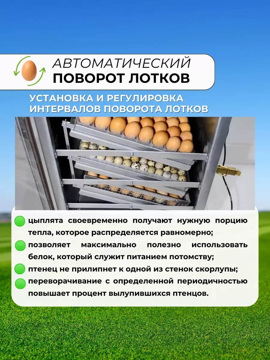 Инкубатор АИ-264 для всех видов яиц. Фото 6