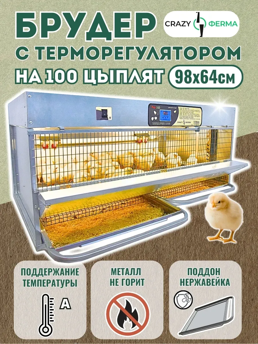 Брудер для цыплят "Проф 100 ЗE" с электронным терморегулятором корпус оцинковка. Фото 1