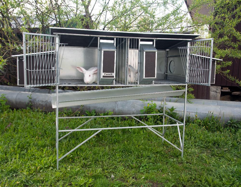 Уличный домик для кроликов "Фаворит" КР1-М-М. Фото 3 Уличный домик для кроликов "Фаворит" КР1-М-М. Фото 3