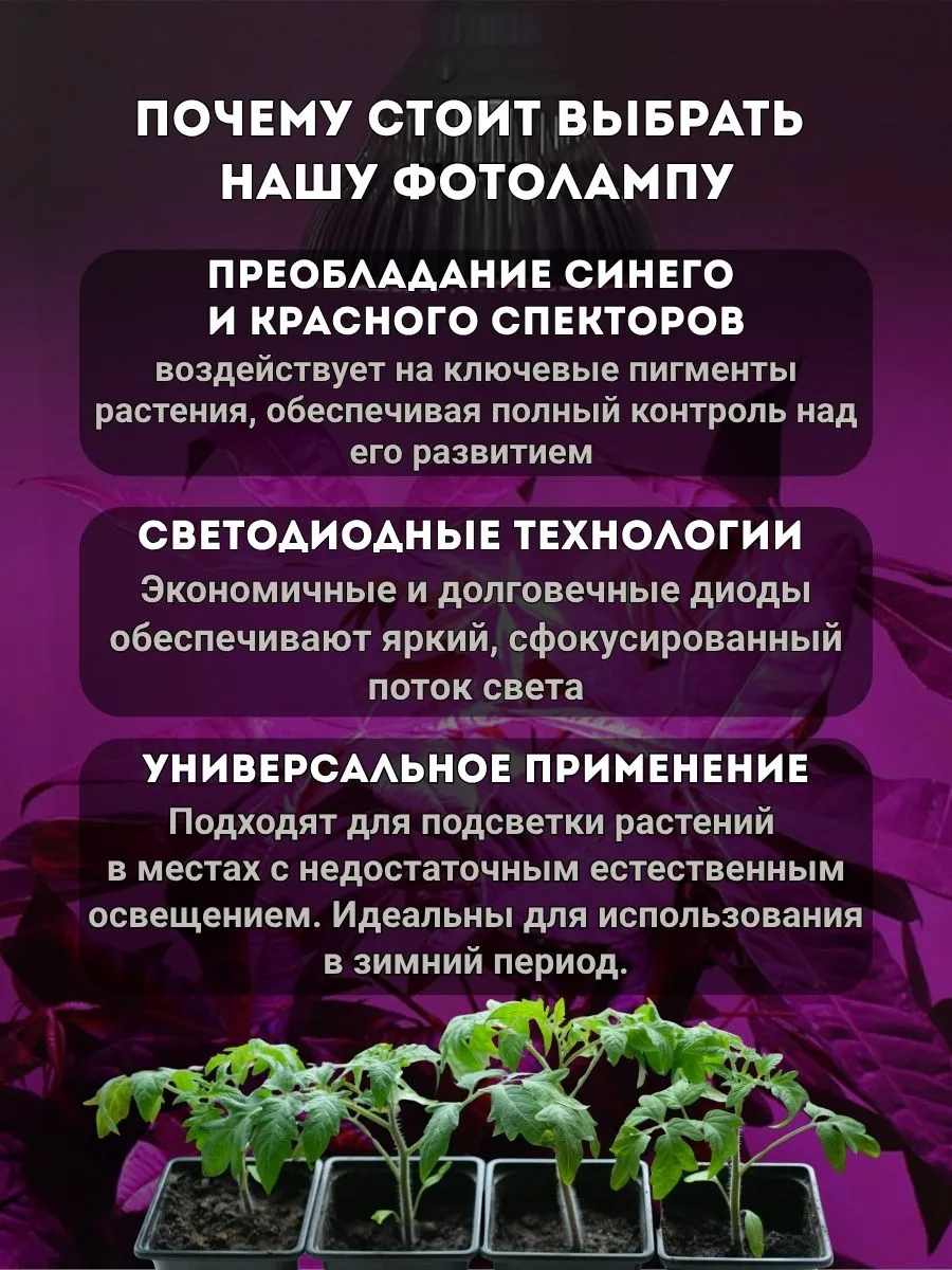 Фитолампа 15W Фулл спектр. Фото 4 Фитолампа 15W Фулл спектр. Фото 4
