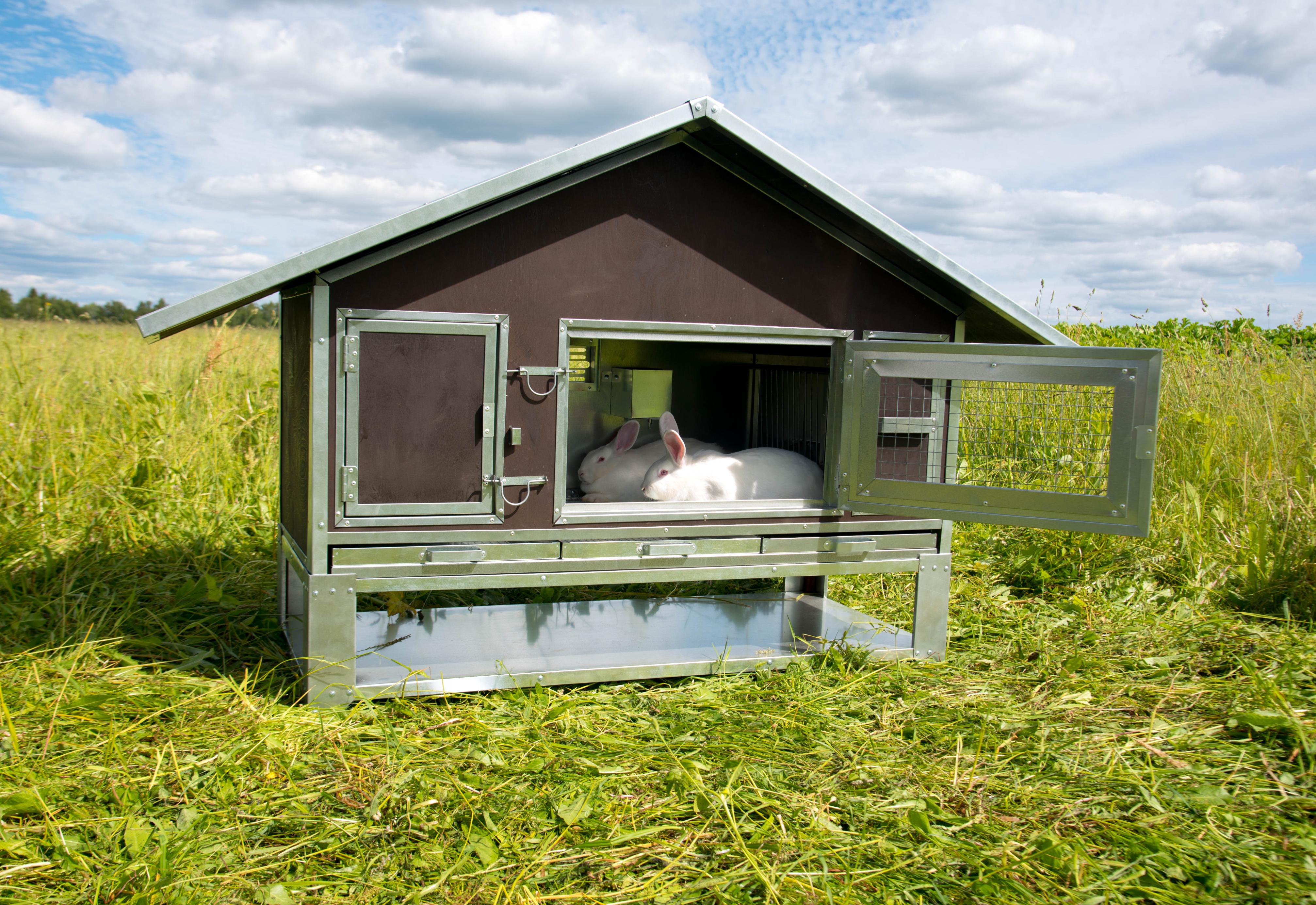 Утепленный отапливаемый крольчатник "Бестселлер" М-21. Фото 5 Утепленный отапливаемый крольчатник "Бестселлер" М-21. Фото 5