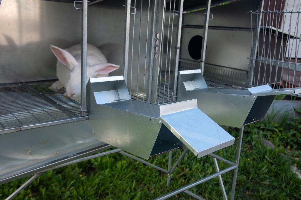 Уличный домик для кроликов "Фаворит" КР1-М-М. Фото 8 Уличный домик для кроликов "Фаворит" КР1-М-М. Фото 8