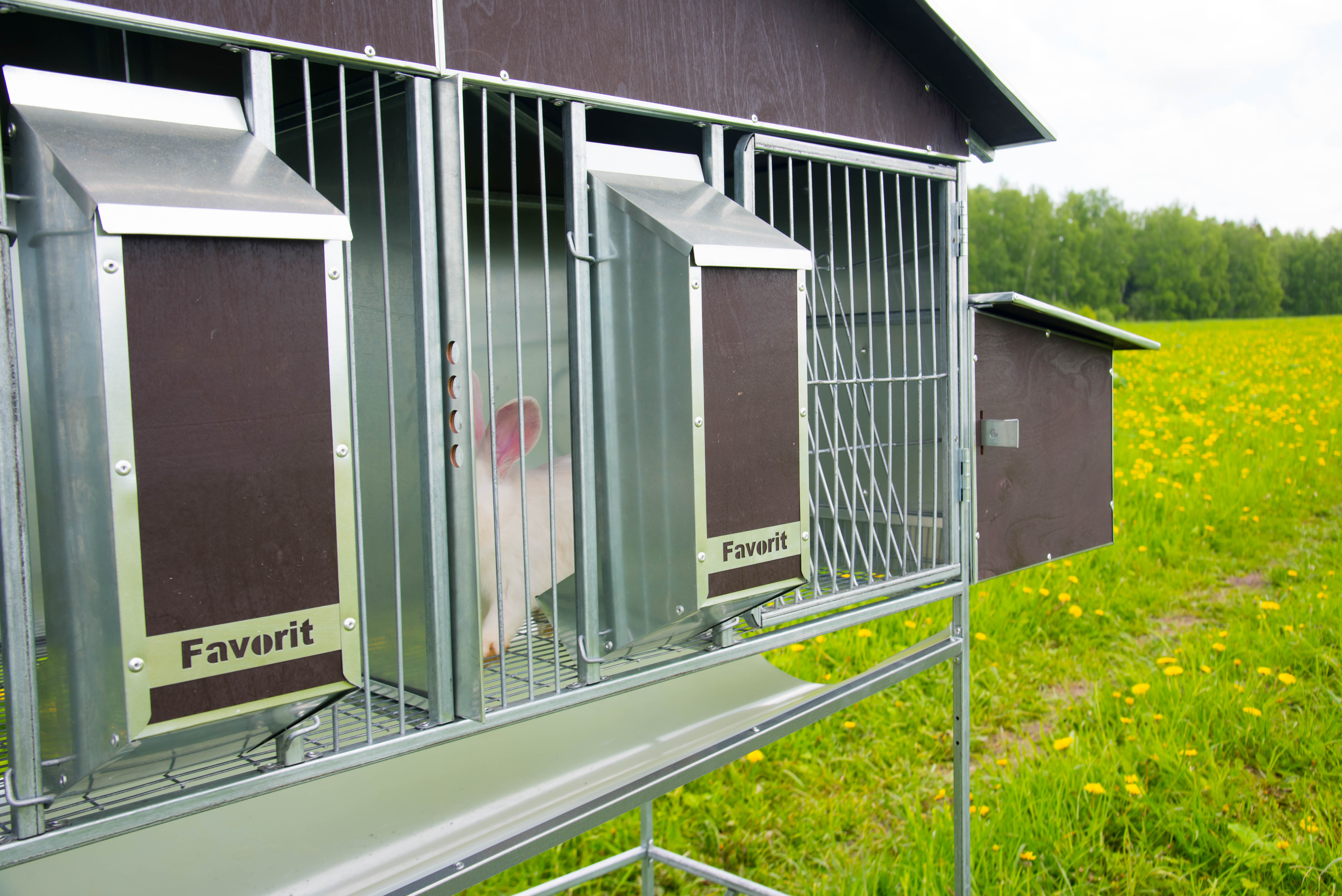 Уличный домик для кроликов "Фаворит" КР2-М-М. Фото 4 Уличный домик для кроликов "Фаворит" КР2-М-М. Фото 4