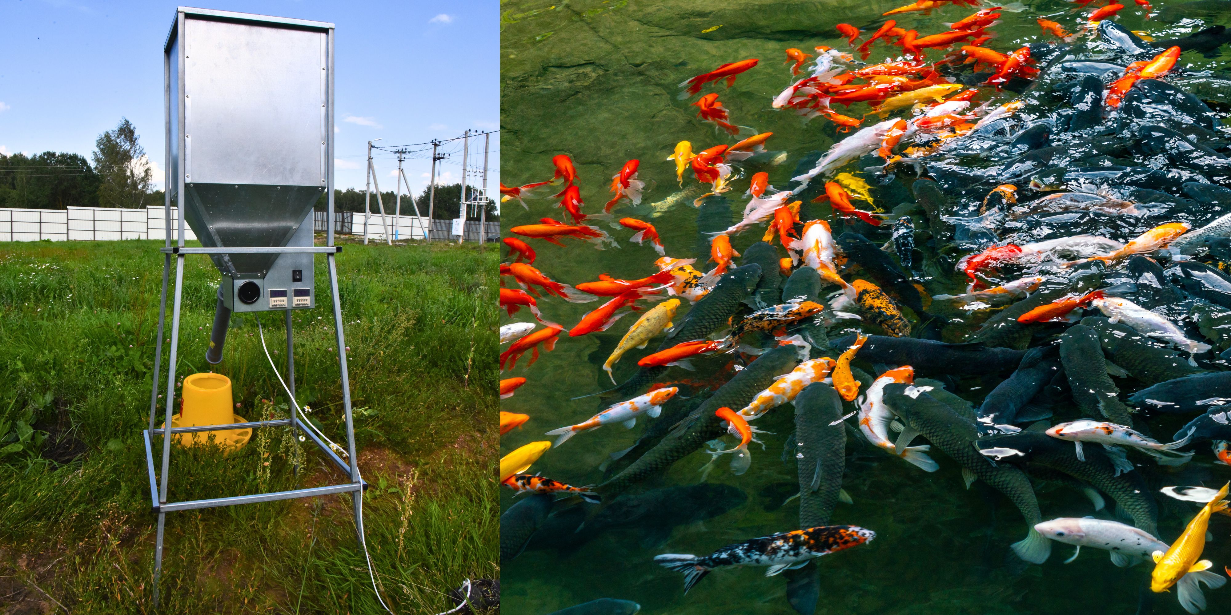 Бункер кормовой автоматический "Дозатор 45". Фото 22 Бункер кормовой автоматический "Дозатор 45". Фото 22