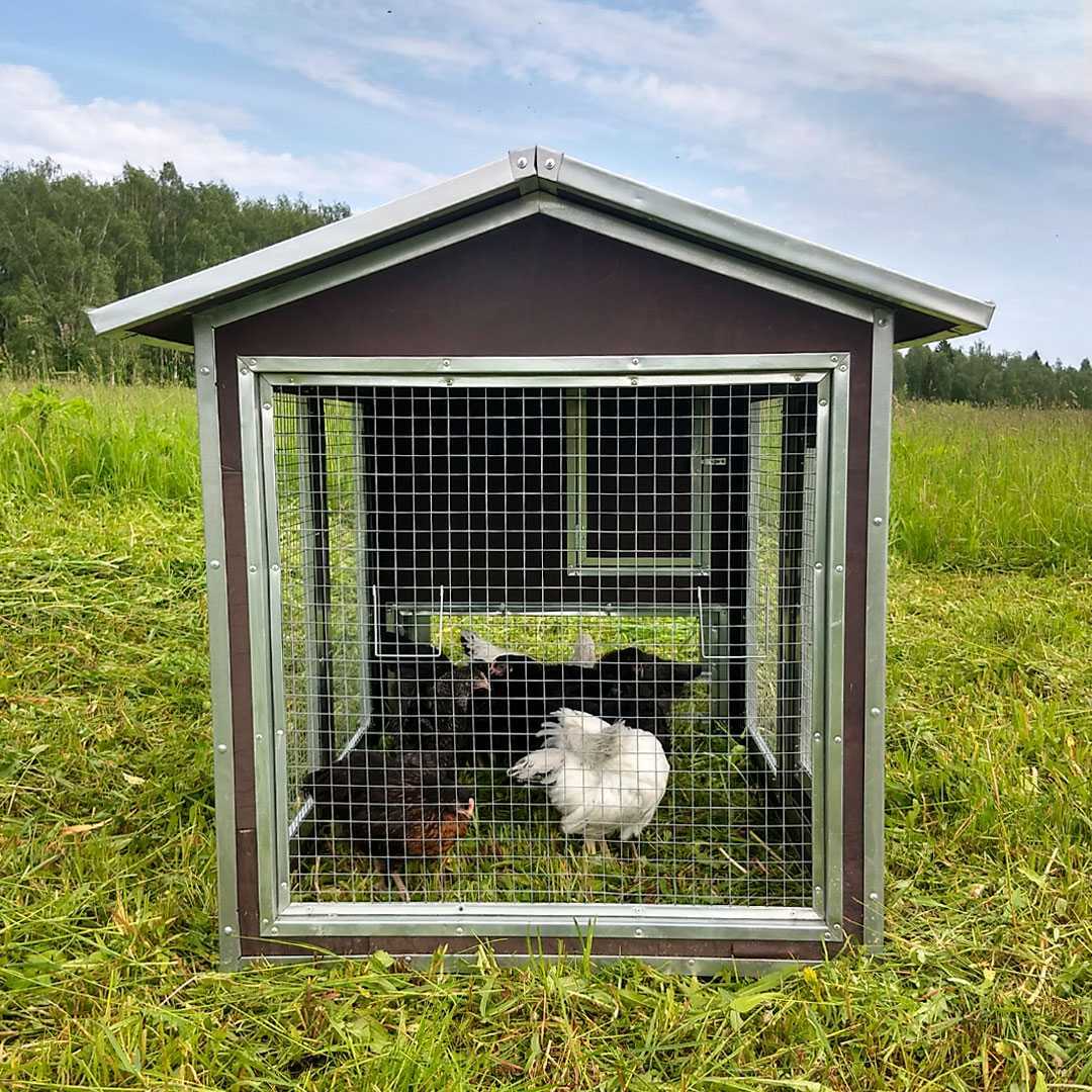 Утепленный отапливаемый уличный курятник с выгулом "Перекати поле". Фото 4