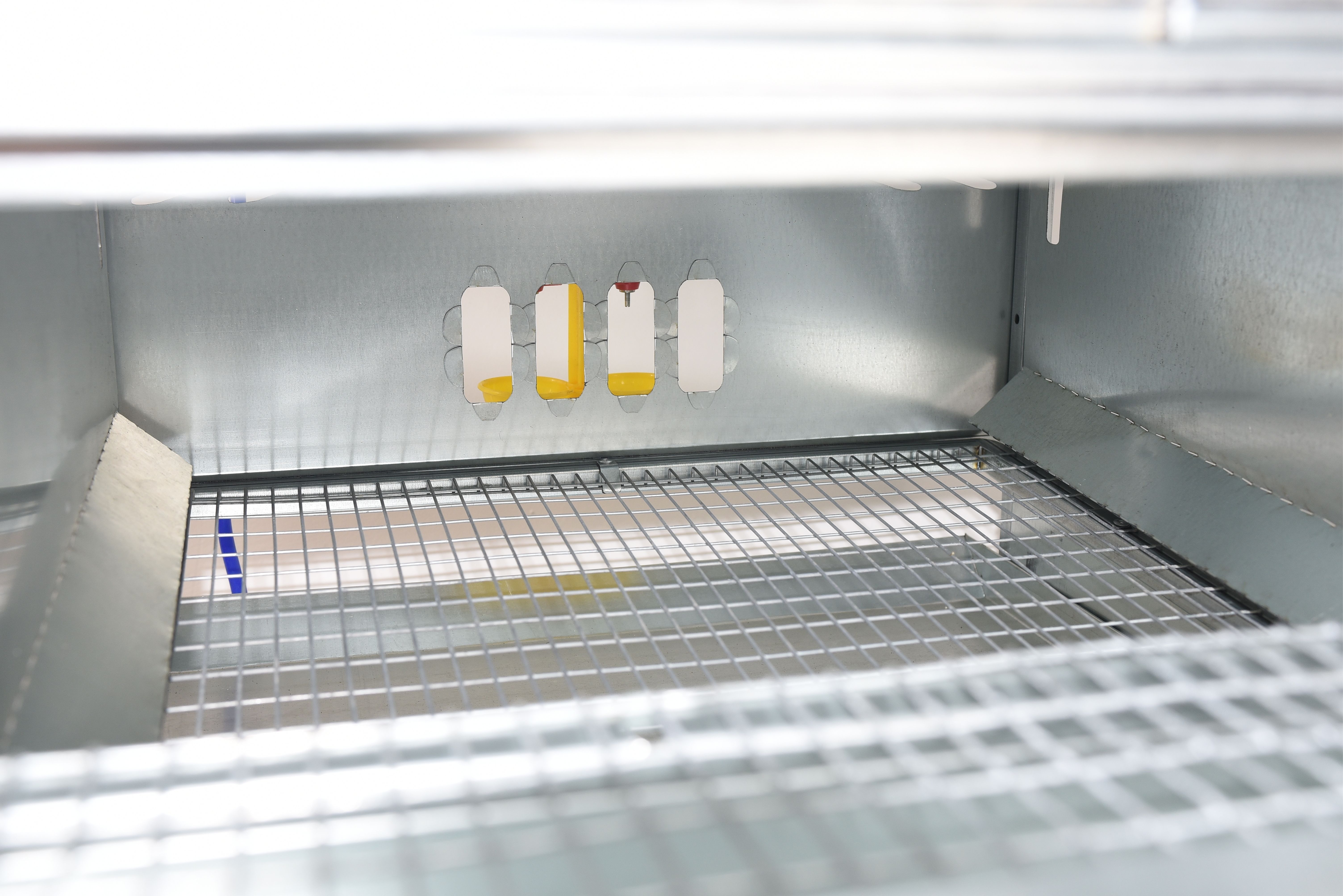 Рамная клетка для перепелов на 120 голов . Фото 29 Рамная клетка для перепелов на 120 голов . Фото 29