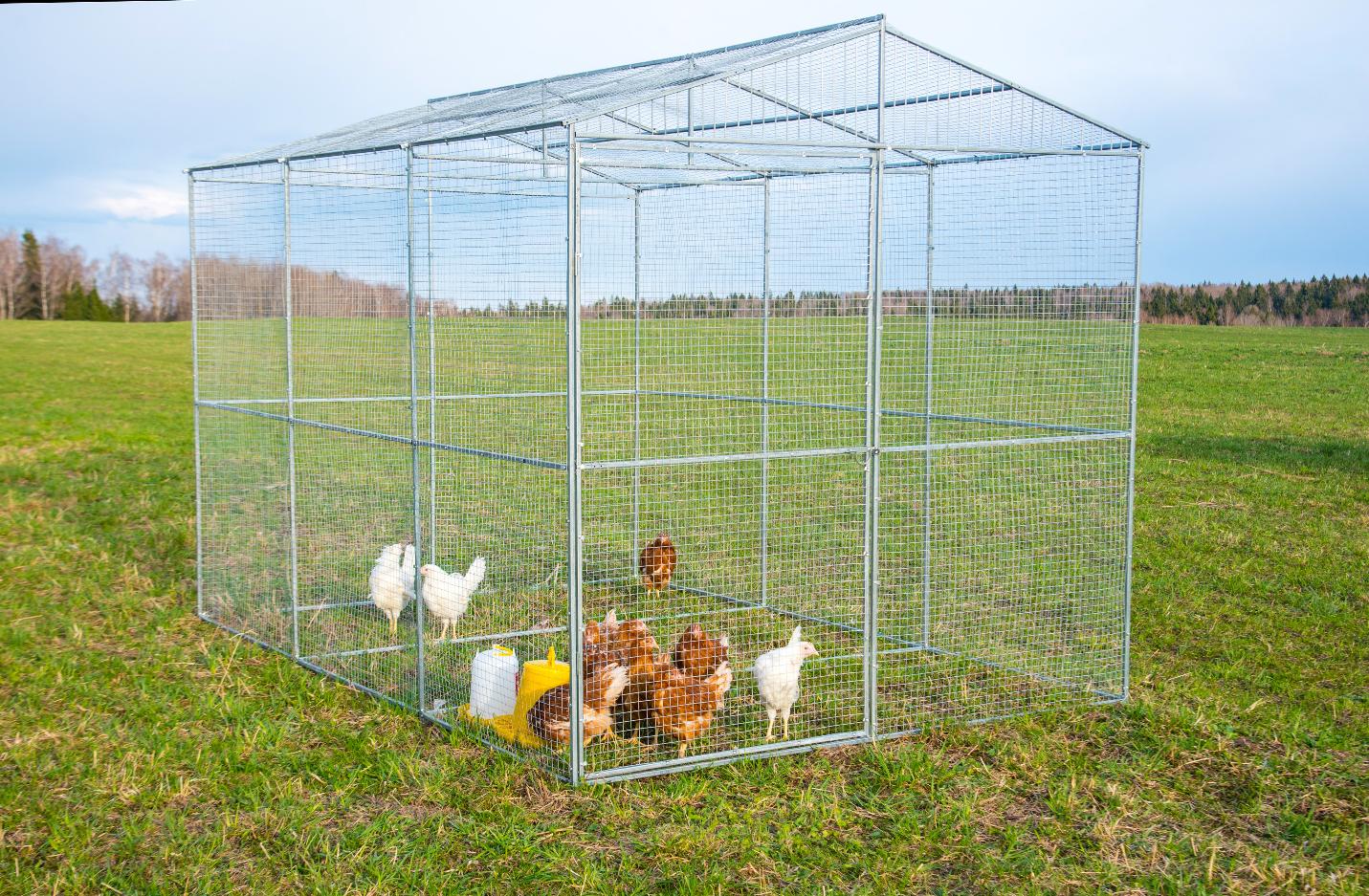 Выгул "Разгуляй"  из сетки 2-2-С. Фото 1