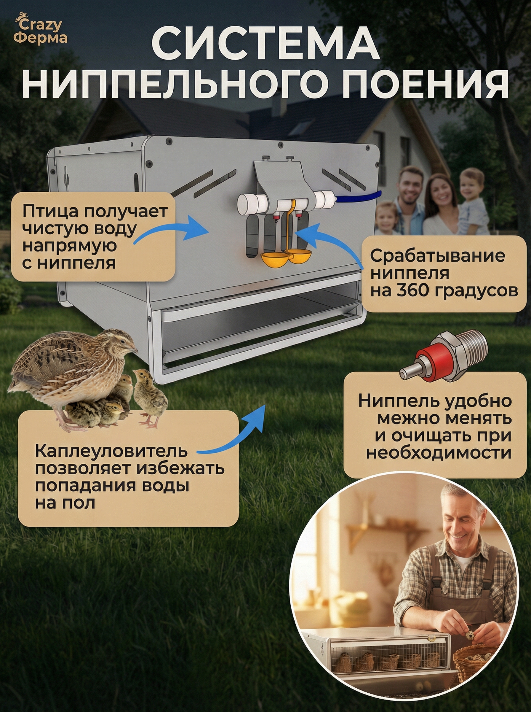 Рамная клетка для перепелов на 120 голов . Фото 2 Рамная клетка для перепелов на 120 голов . Фото 2