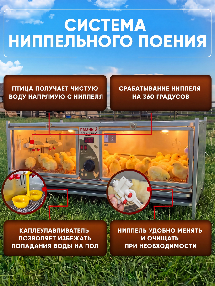 Рамный автоматический брудер 0713 Престиж. Фото 7