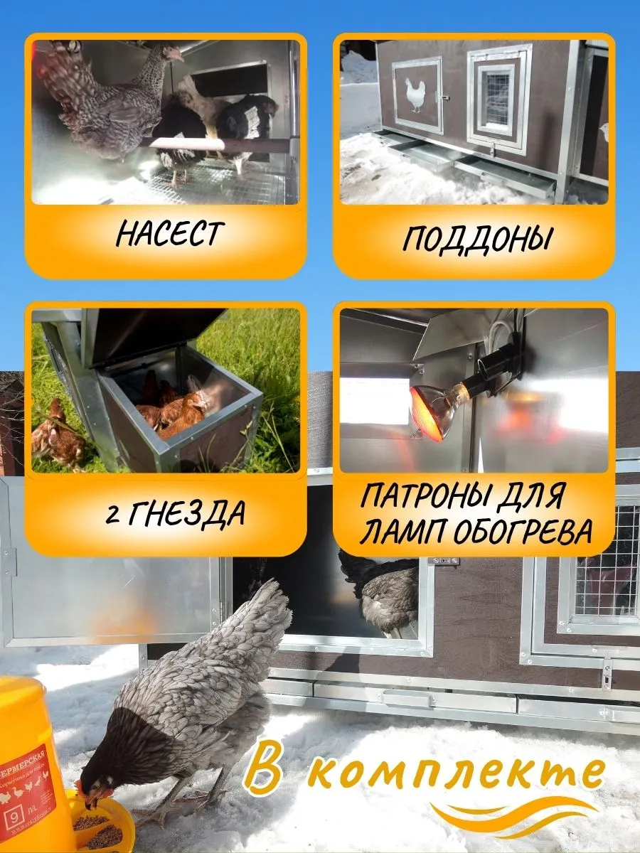Утепленный отапливаемый уличный курятник "Каскад-2" на 8-12 кур. Фото 3