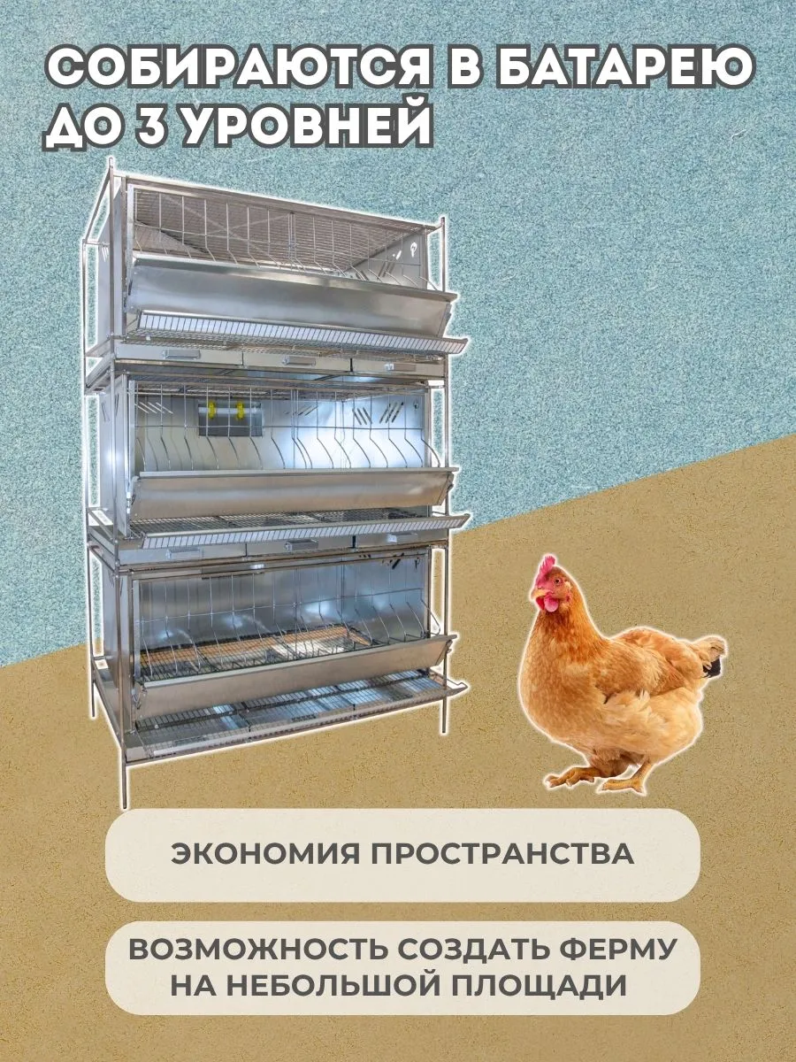 Клетка для кур-несушек "База-сетка" 3-12 "МультиПро". Фото 6 Клетка для кур-несушек "База-сетка" 3-12 "МультиПро". Фото 6