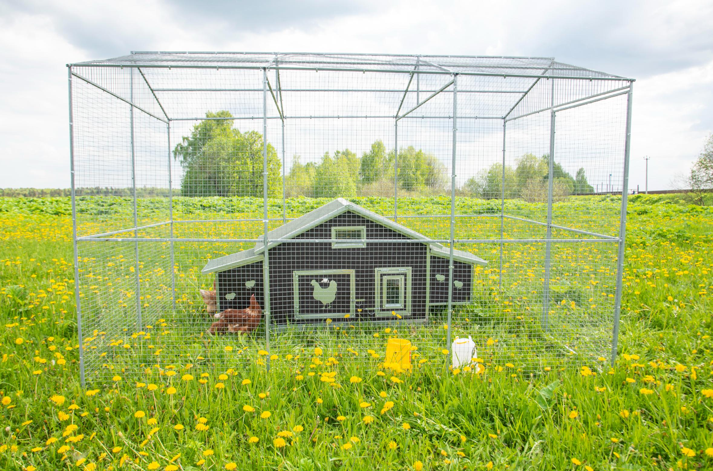 Выгул "Разгуляй" с крышей 2-7-К. Фото 7