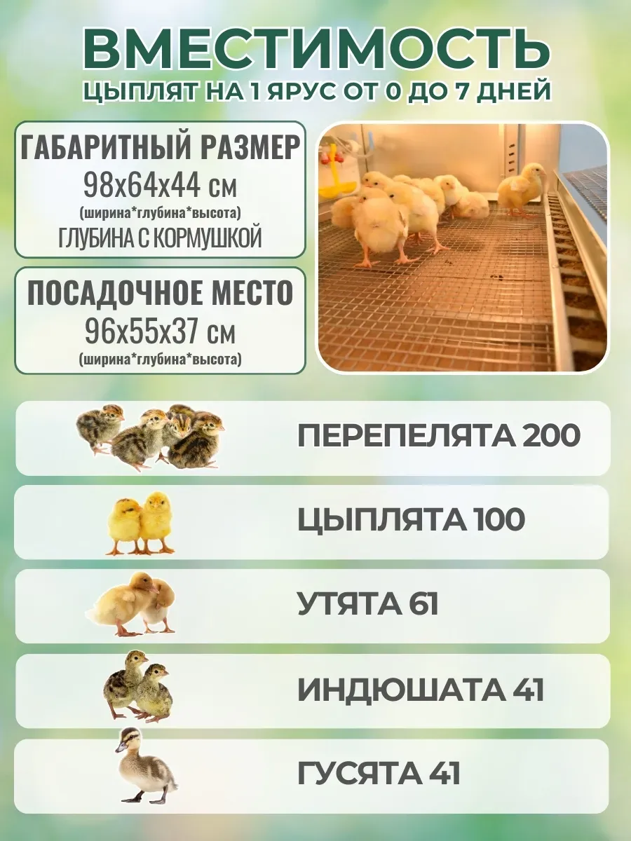 Брудер для цыплят "Проф 100 ЗM" с механическим терморегулятором . Фото 2