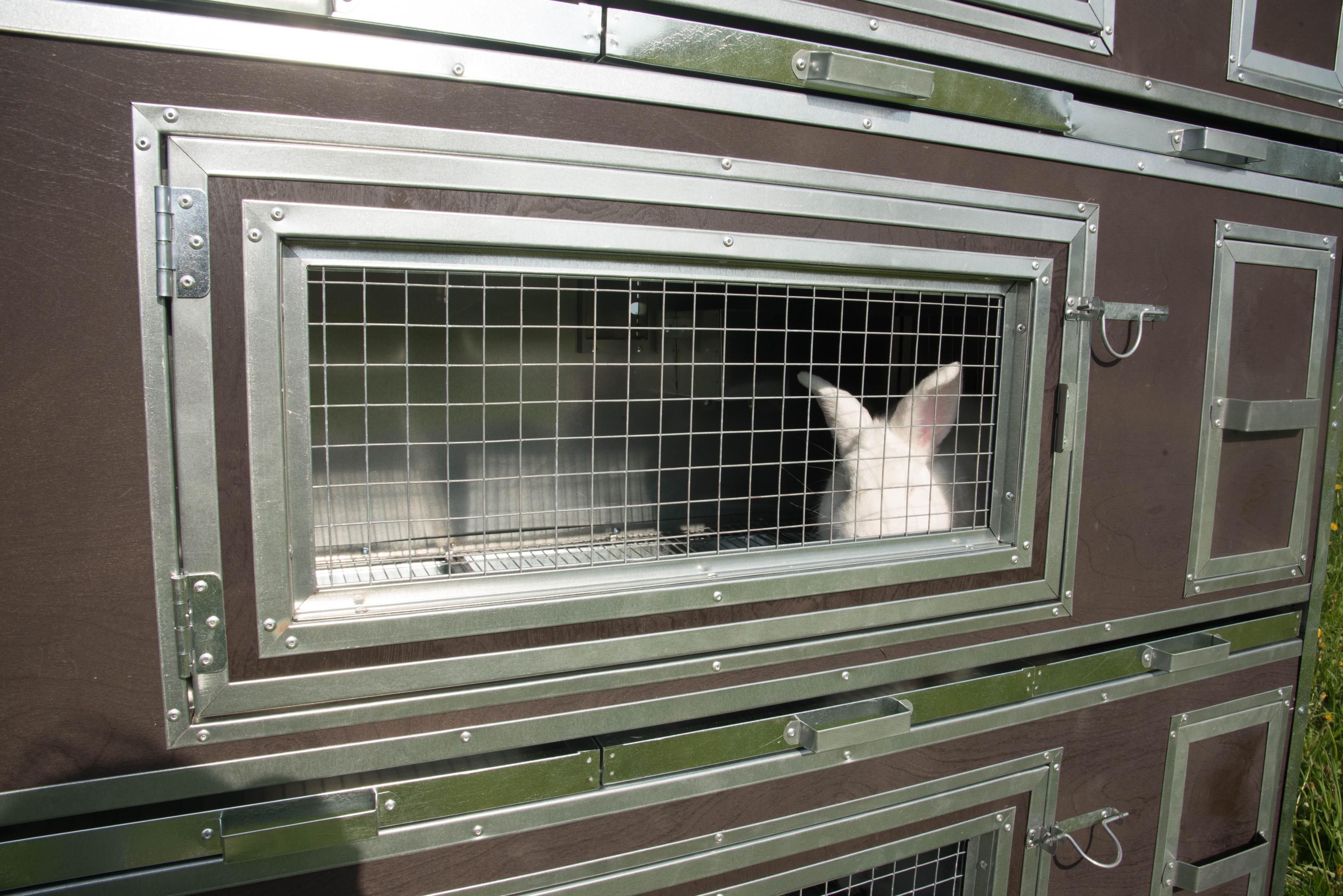 Утепленный отапливаемый крольчатник "Бестселлер" М-13. Фото 12 Утепленный отапливаемый крольчатник "Бестселлер" М-13. Фото 12