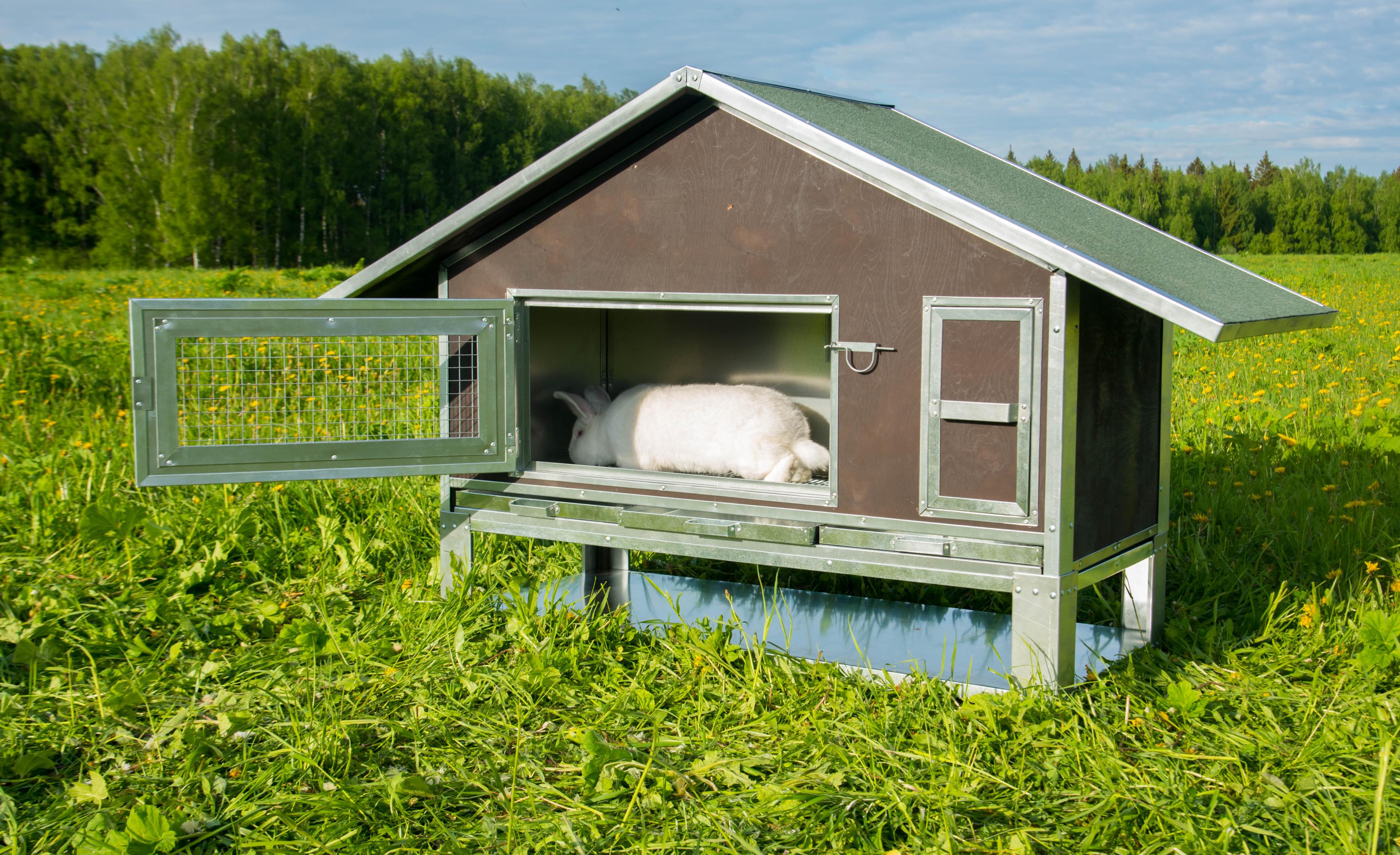 Утепленный отапливаемый крольчатник "Бестселлер" О-21. Фото 11 Утепленный отапливаемый крольчатник "Бестселлер" О-21. Фото 11