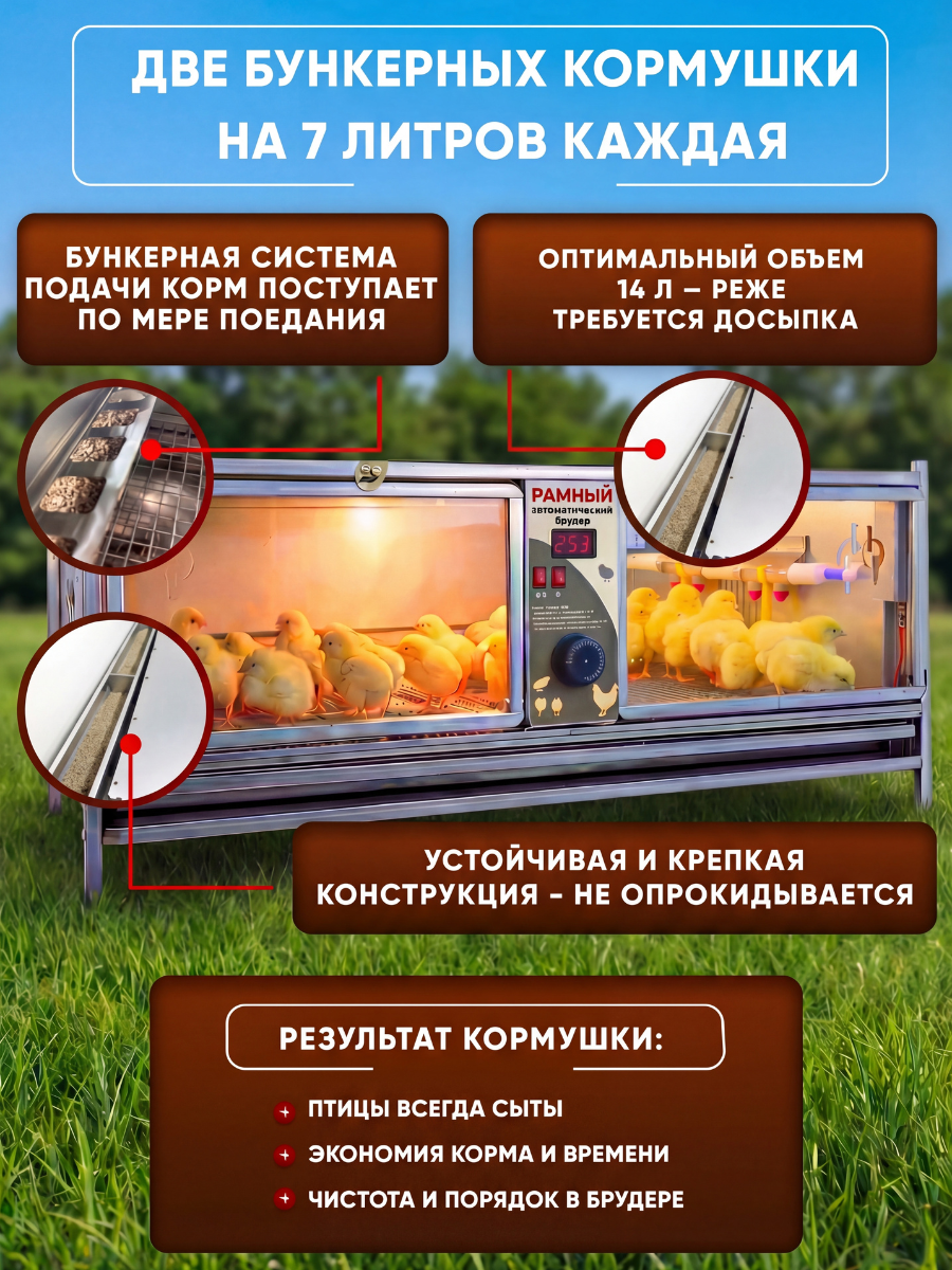 Рамный автоматический брудер 0713 Престиж. Фото 3