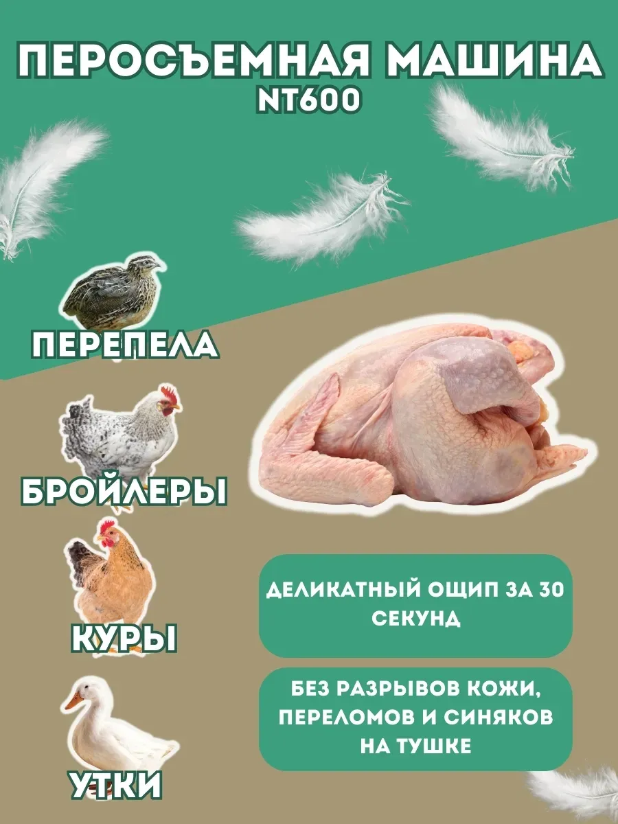 Перосъёмная машина-60 2,2кВт (НТ-600A). Фото 4