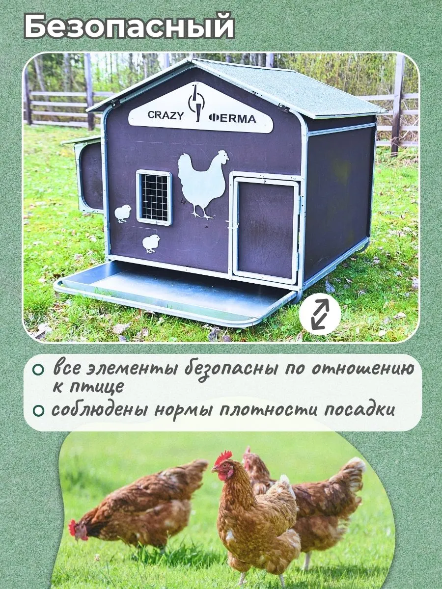 Курятник "Фаворит" на 8-10 кур. Фото 3