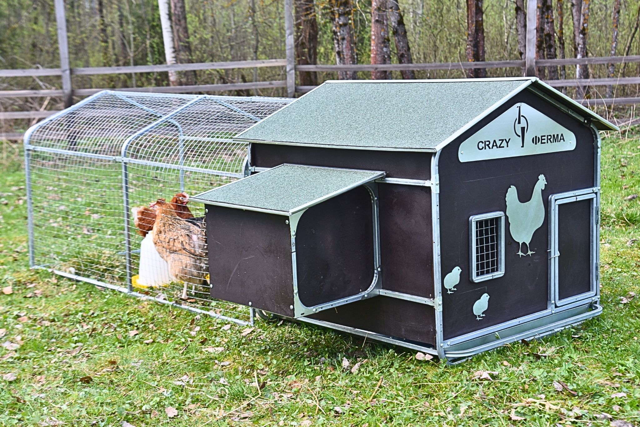 Выгул для курятника "Фаворит" на 8-10 кур. Фото 7