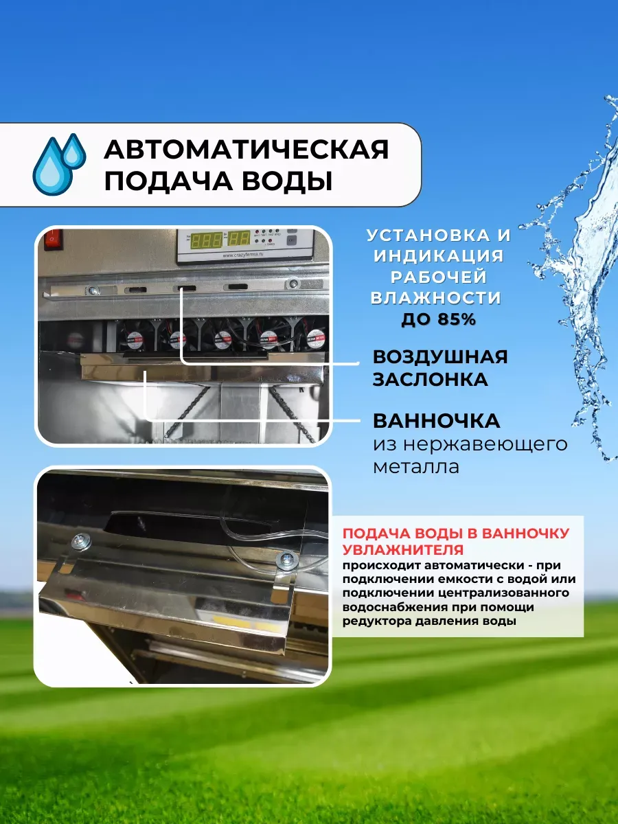 Инкубатор АИ-264 для всех видов яиц. Фото 4