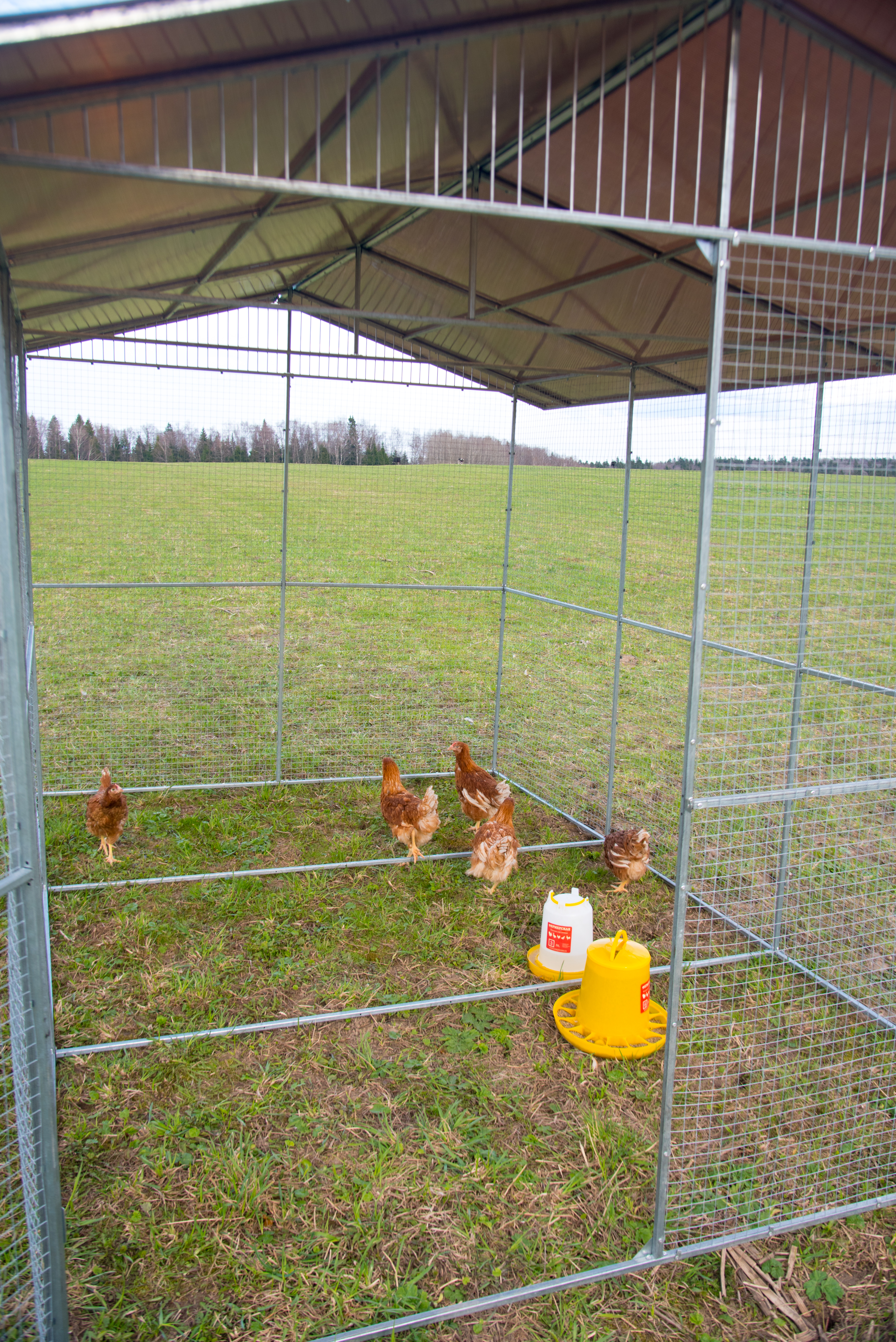 Выгул "Разгуляй" с крышей 2-6-К. Фото 4 Выгул "Разгуляй" с крышей 2-6-К. Фото 4