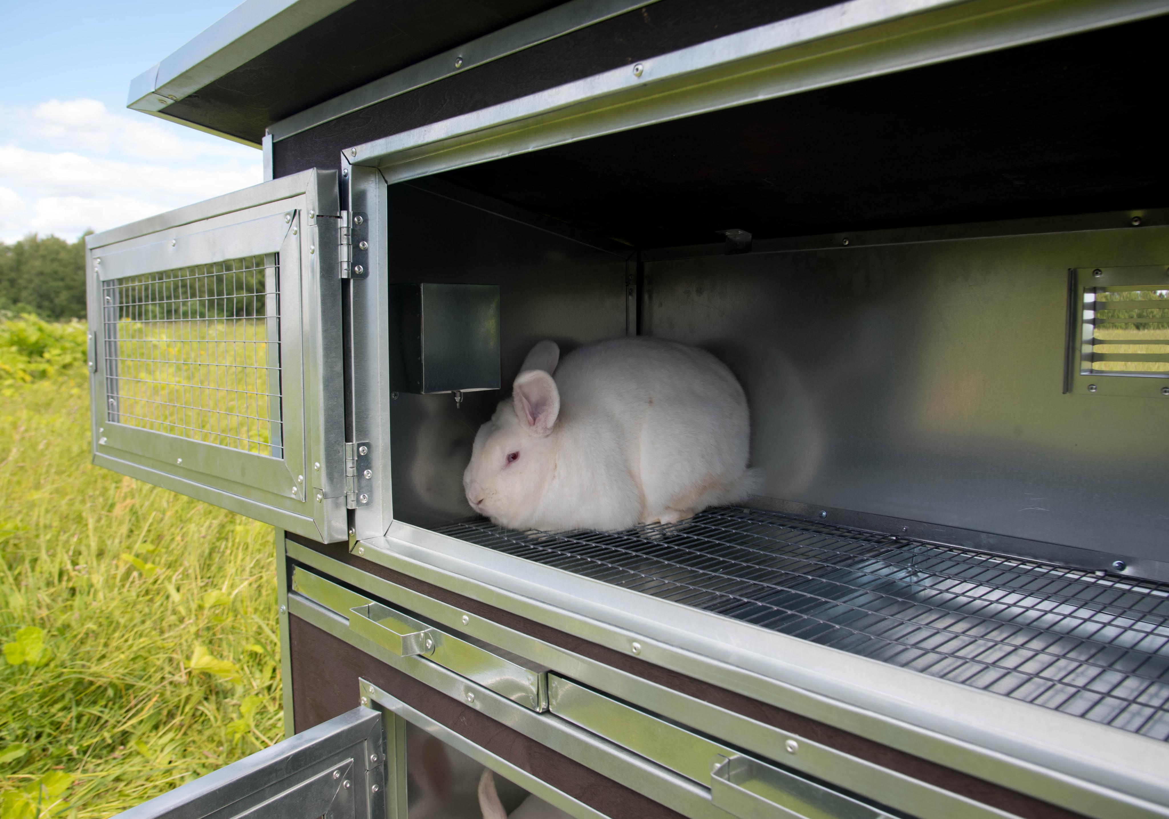 Утепленный отапливаемый крольчатник "Бестселлер" О-12. Фото 15 Утепленный отапливаемый крольчатник "Бестселлер" О-12. Фото 15