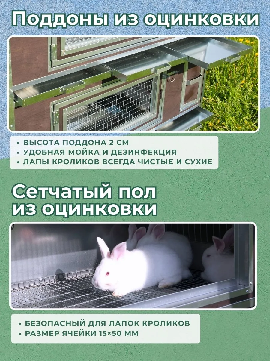 Утепленный отапливаемый крольчатник "Бестселлер" М-12. Фото 6