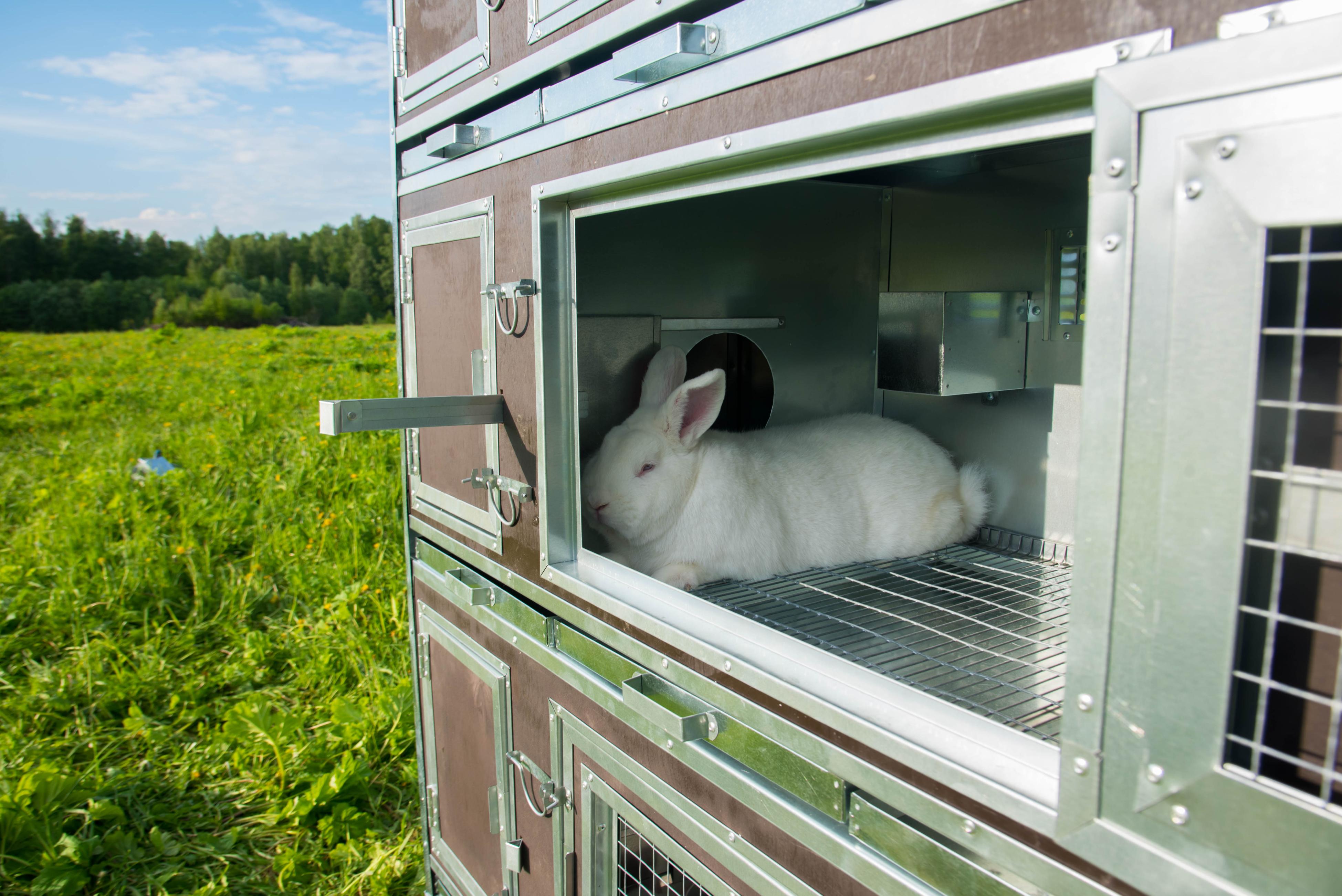 Утепленный отапливаемый крольчатник "Бестселлер" М-21. Фото 8 Утепленный отапливаемый крольчатник "Бестселлер" М-21. Фото 8
