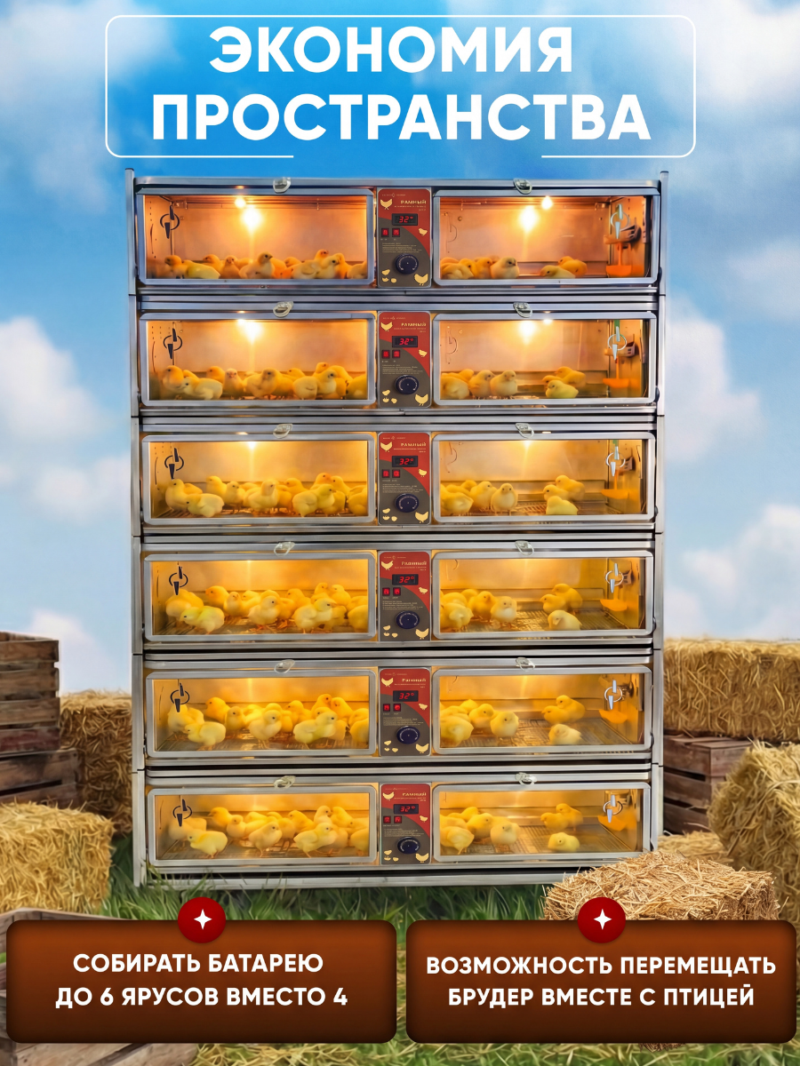 Рамный автоматический брудер 0714 Премиум. Фото 10