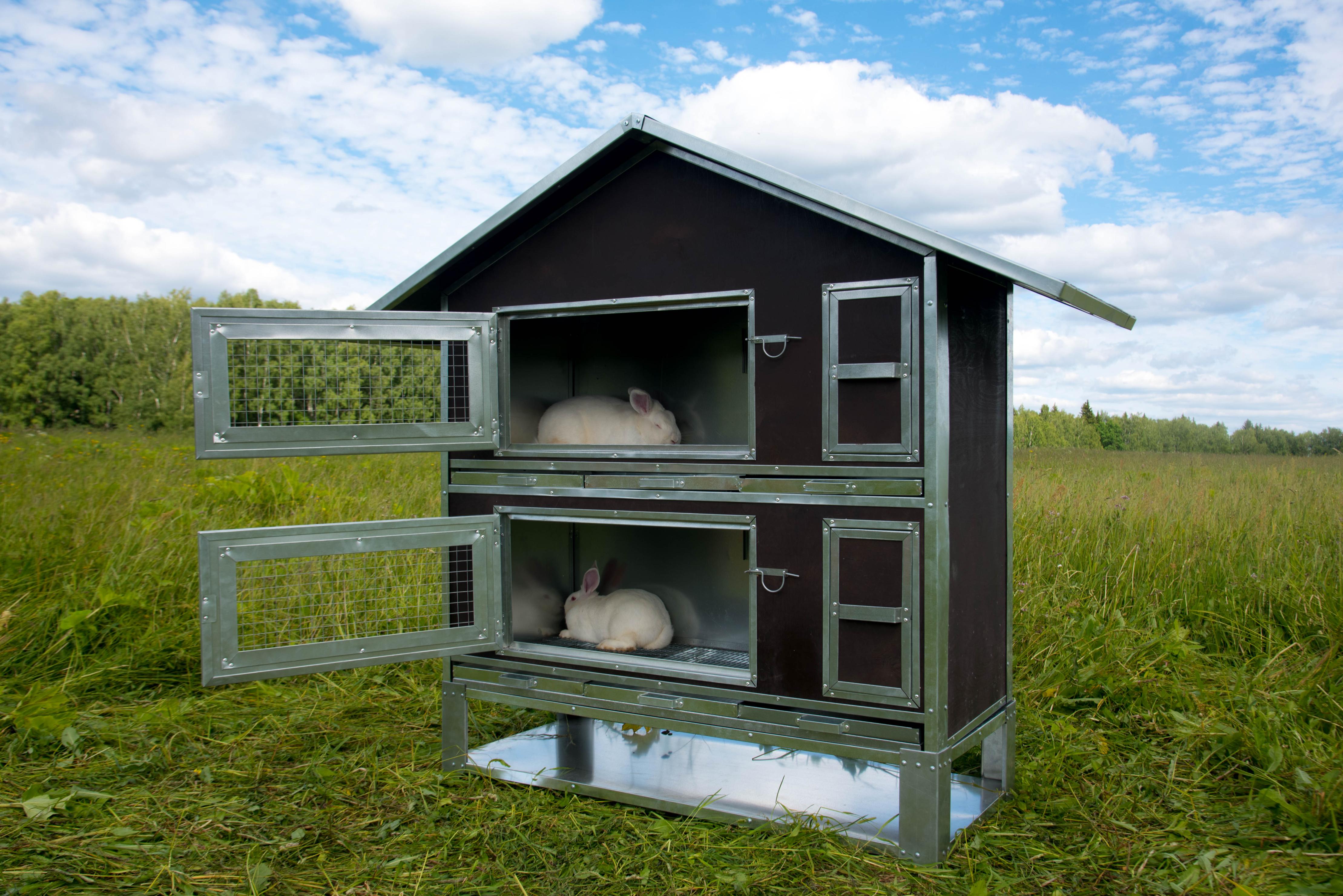 Утепленный отапливаемый крольчатник "Бестселлер" О-22. Фото 5