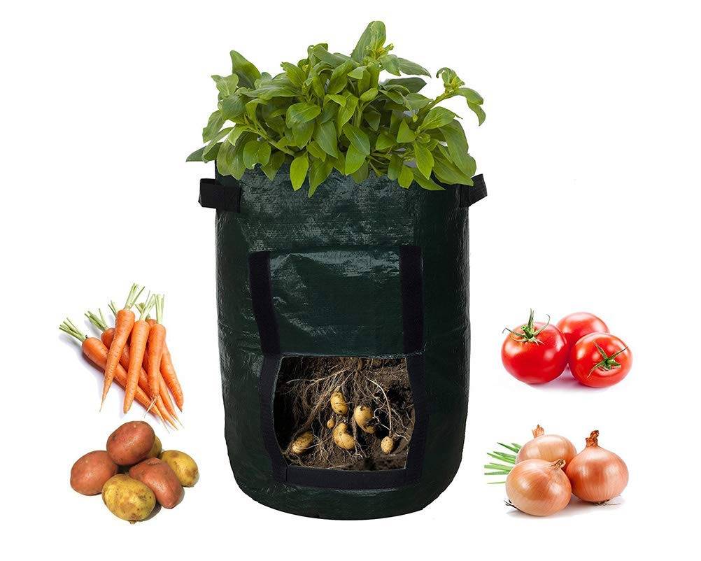 Полиэтиленовая сумка для выращивания картофеля. Фото 3 Полиэтиленовая сумка для выращивания картофеля. Фото 3