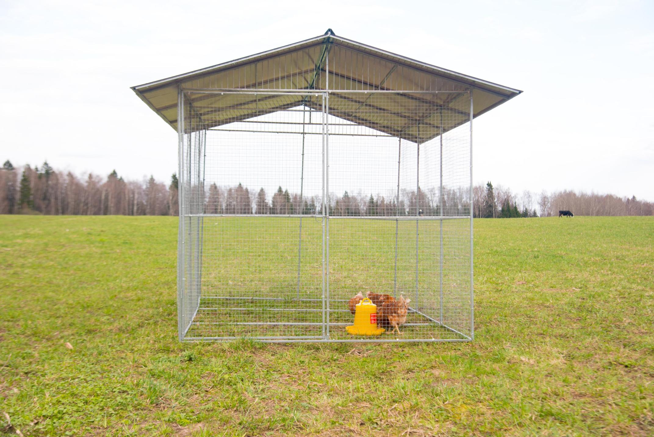 Выгул "Разгуляй" с крышей 2-6-К. Фото 1 Выгул "Разгуляй" с крышей 2-6-К. Фото 1