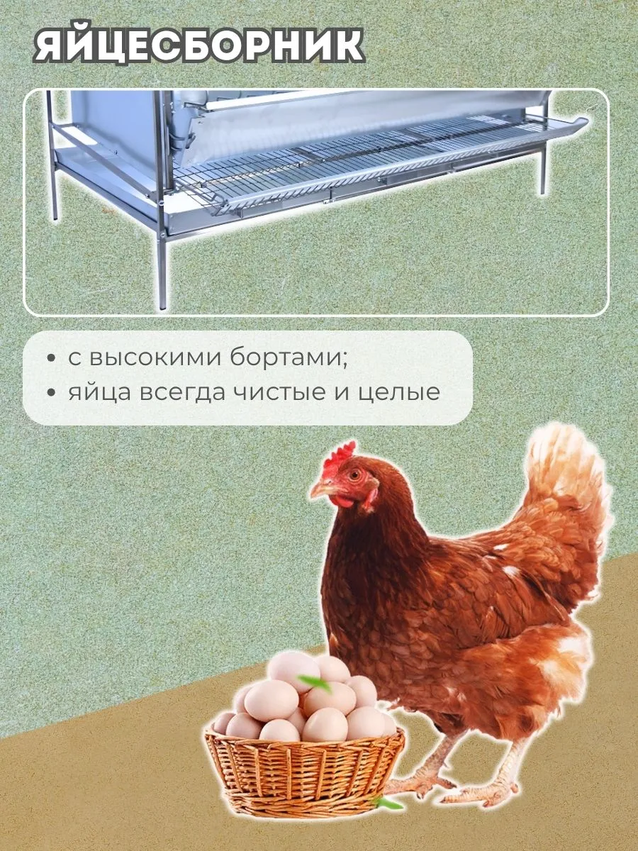 Клетка для кур-несушек "Практик-металл" 2-12 "МультиПро". Фото 4