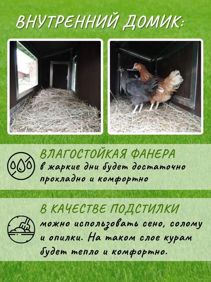 Утепленный отапливаемый уличный курятник с выгулом "Мечта" на 8-10 кур. Фото 3