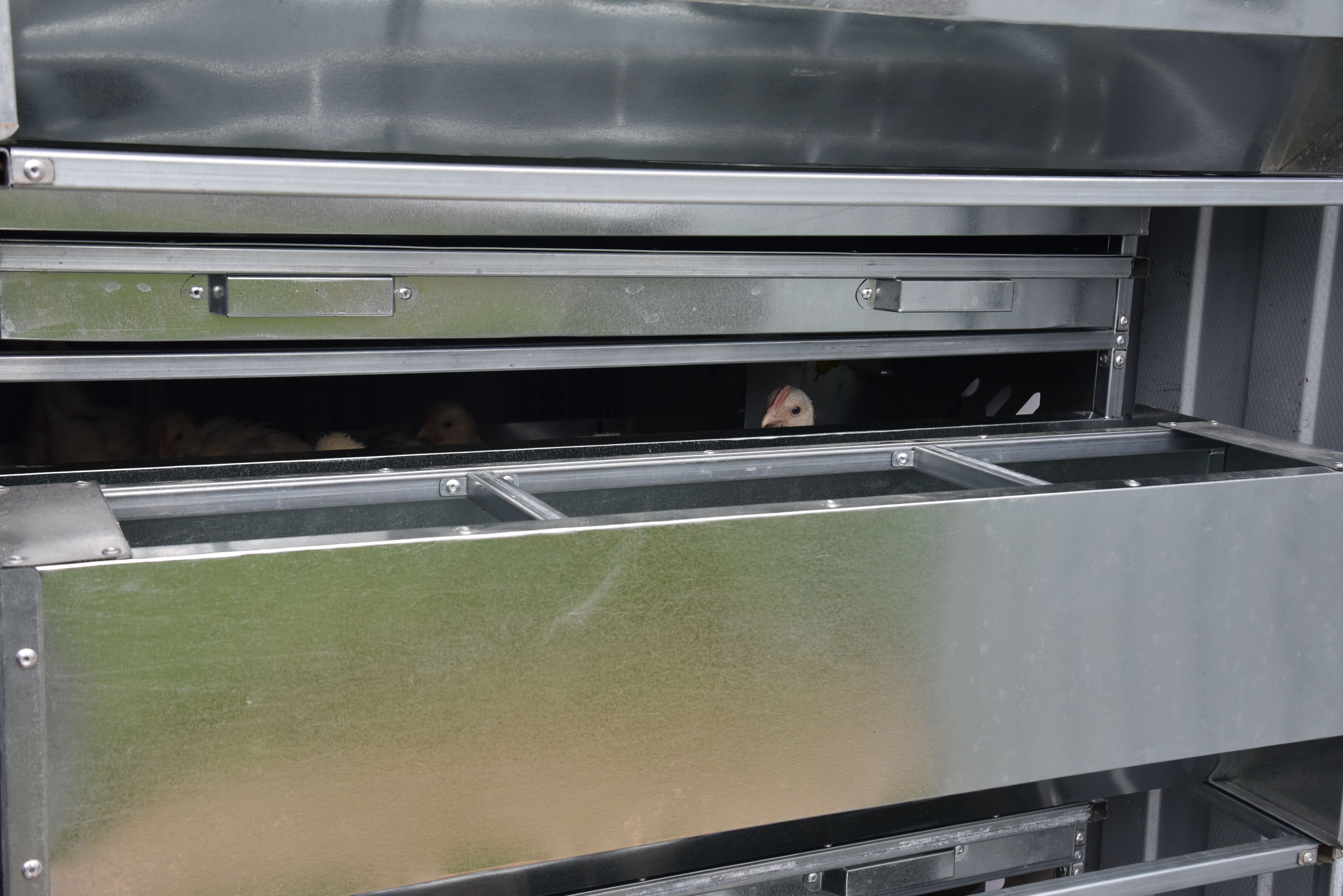 Автоматический уличный брудер "Идеальный папа". Фото 20 Автоматический уличный брудер "Идеальный папа". Фото 20