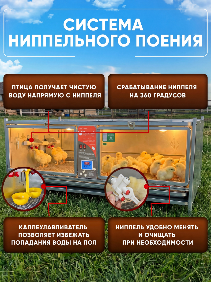 Рамный цифровой брудер 0717 Премиум. Фото 7