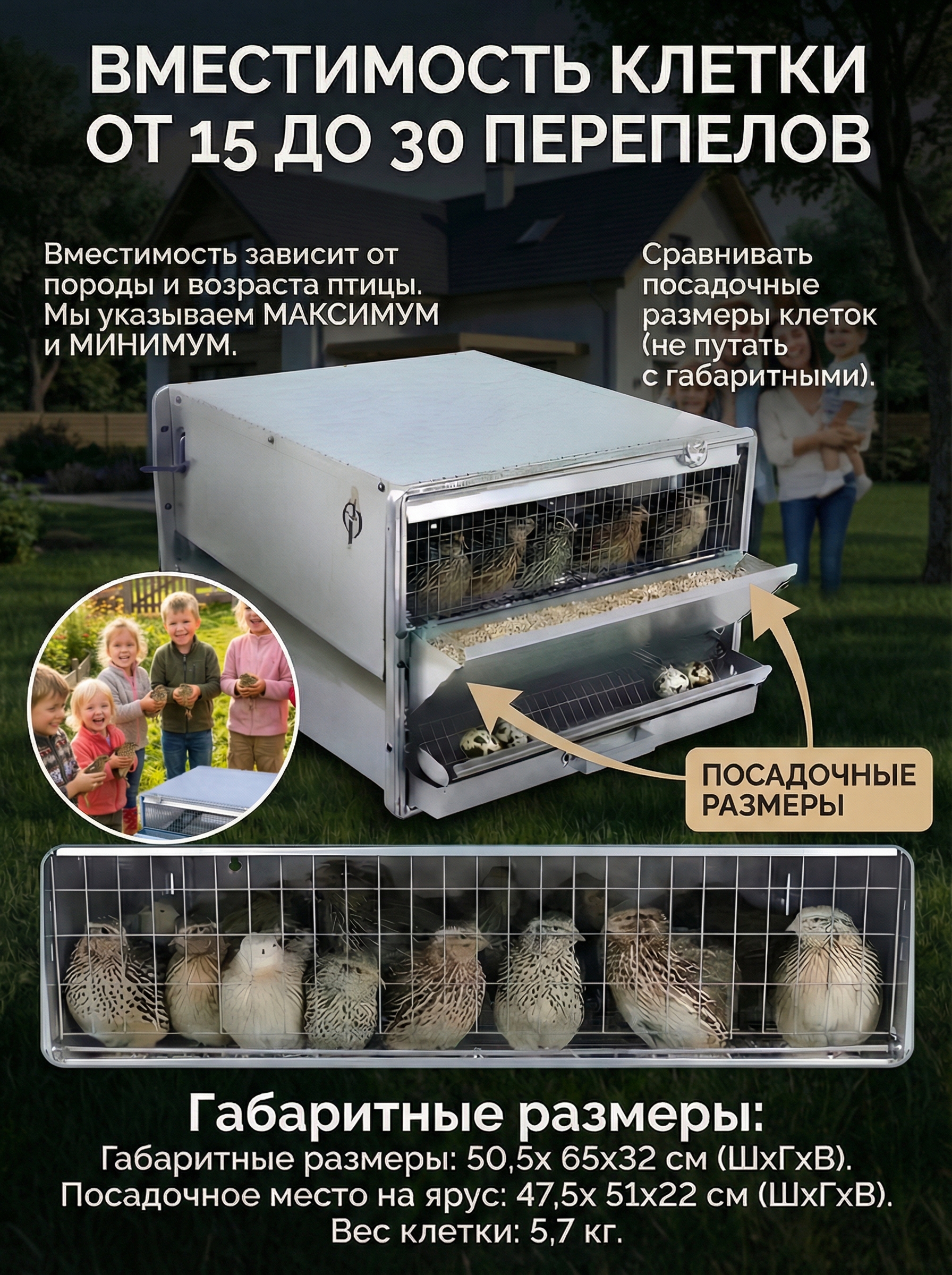 Рамная клетка для перепелов на 30 голов. Фото 3