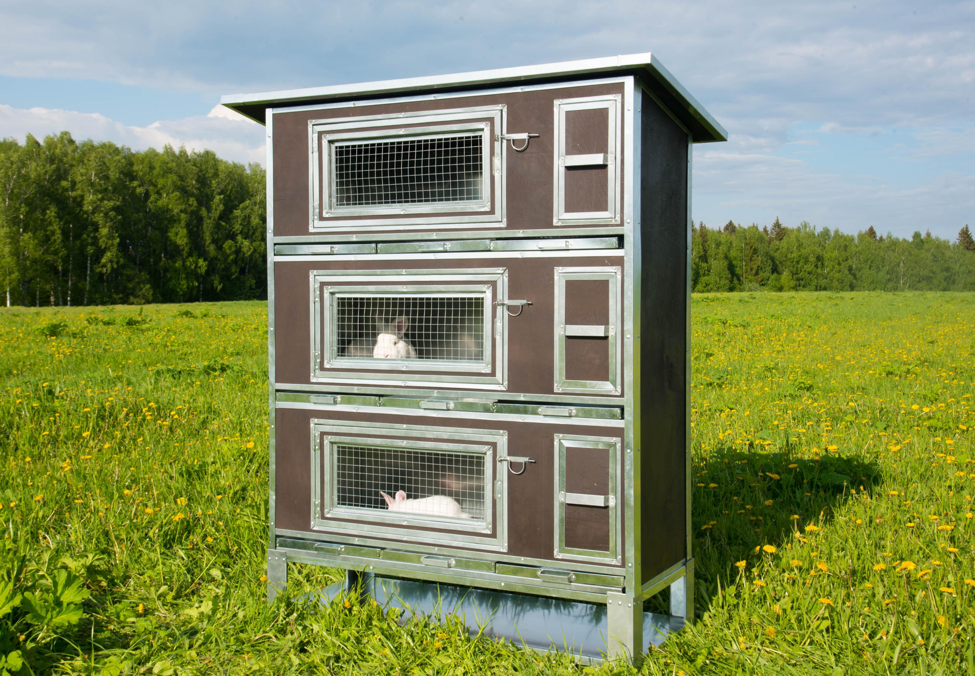 Утепленный отапливаемый крольчатник "Бестселлер" О-13. Фото 3 Утепленный отапливаемый крольчатник "Бестселлер" О-13. Фото 3